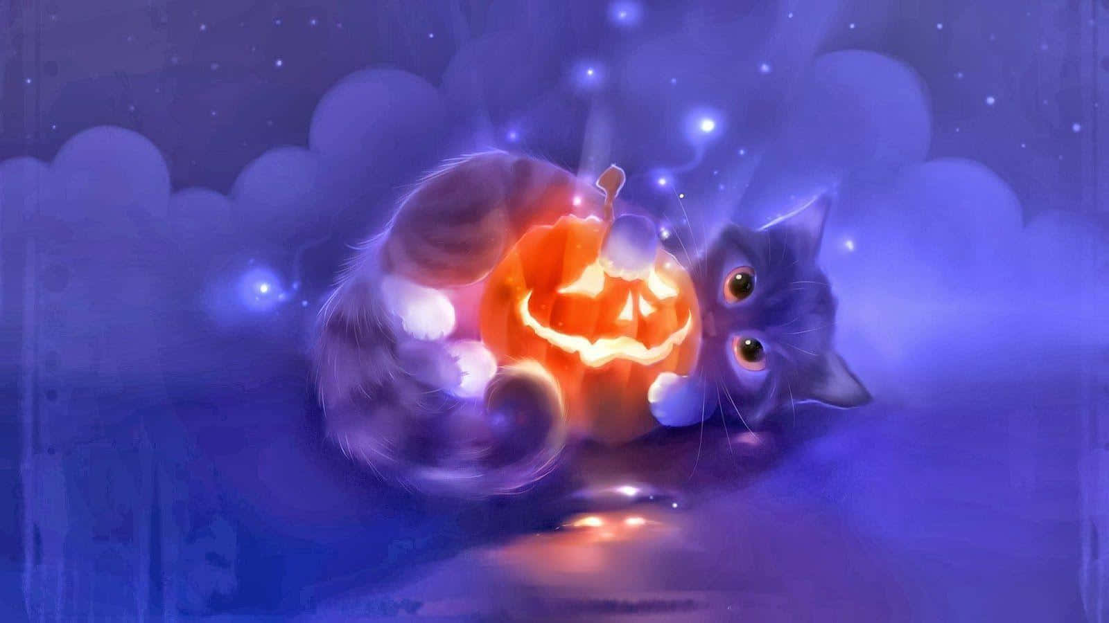 可爱的动漫猫图片 壁纸