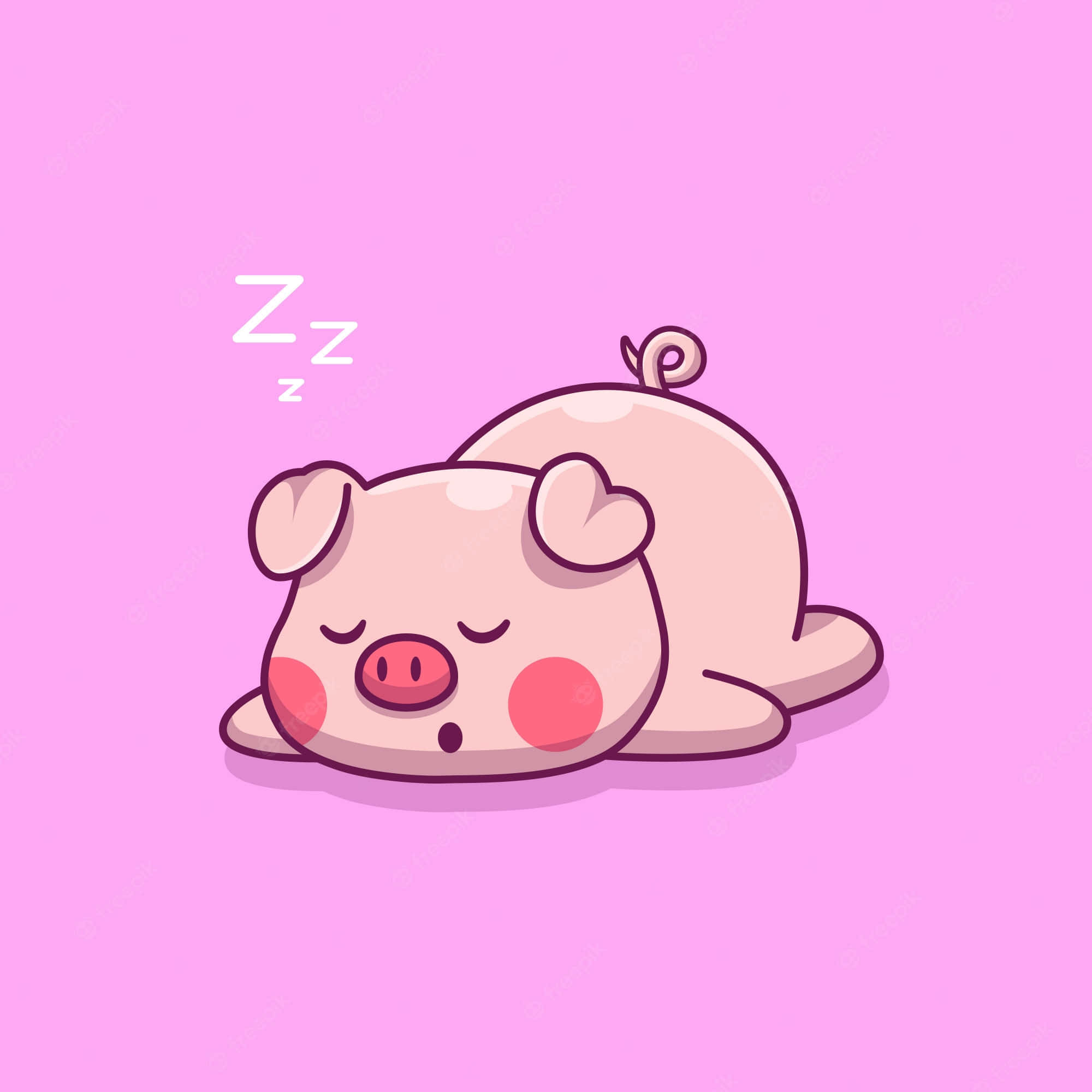 可爱的小猪享受阳光 壁纸