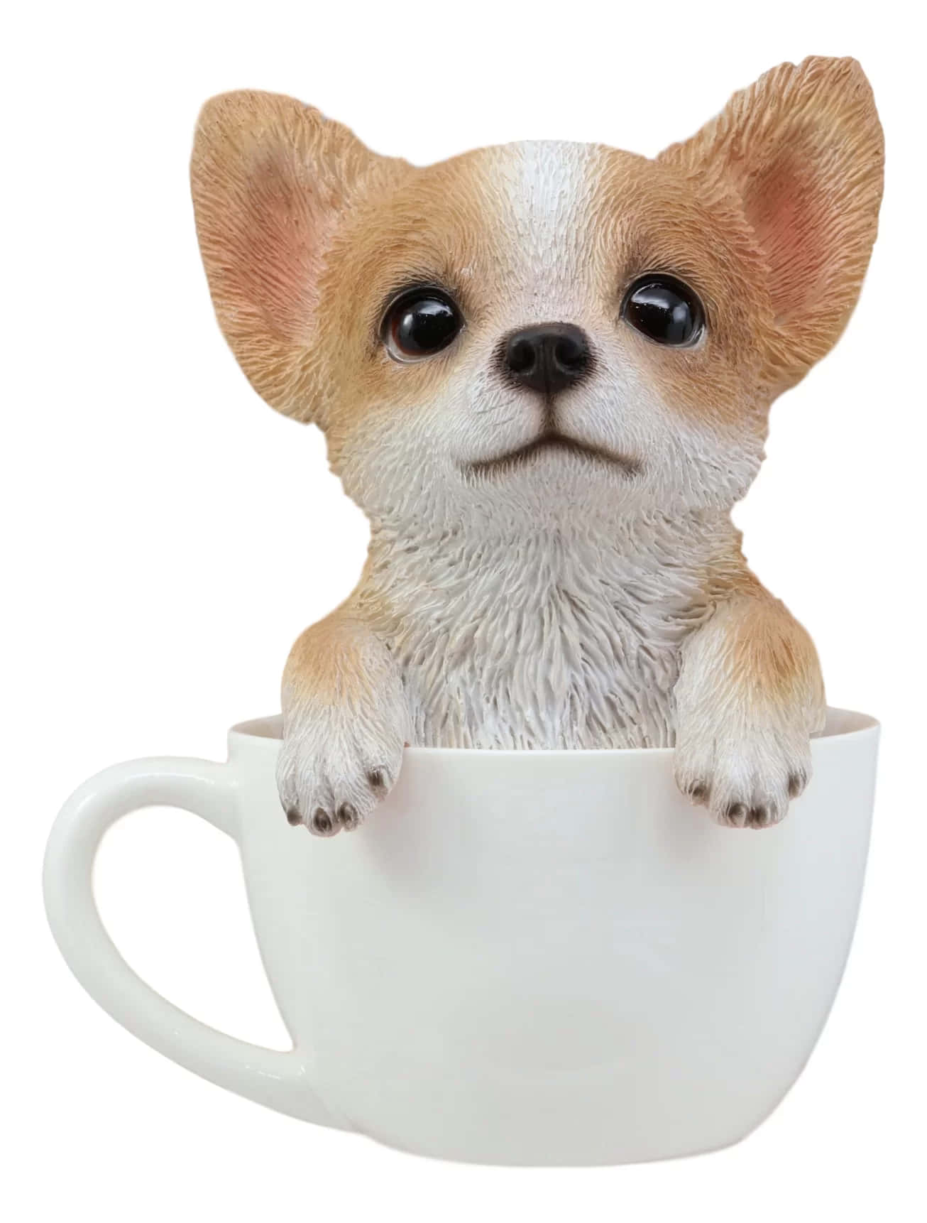 可爱的茶杯吉娃娃 壁纸