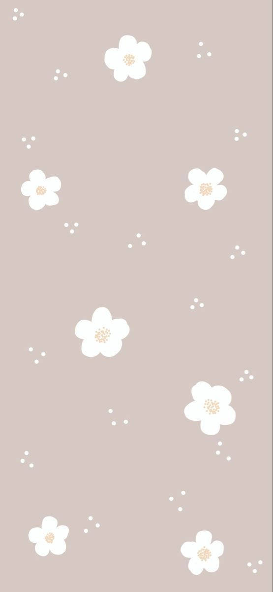 可爱简约的无茎白花 壁纸