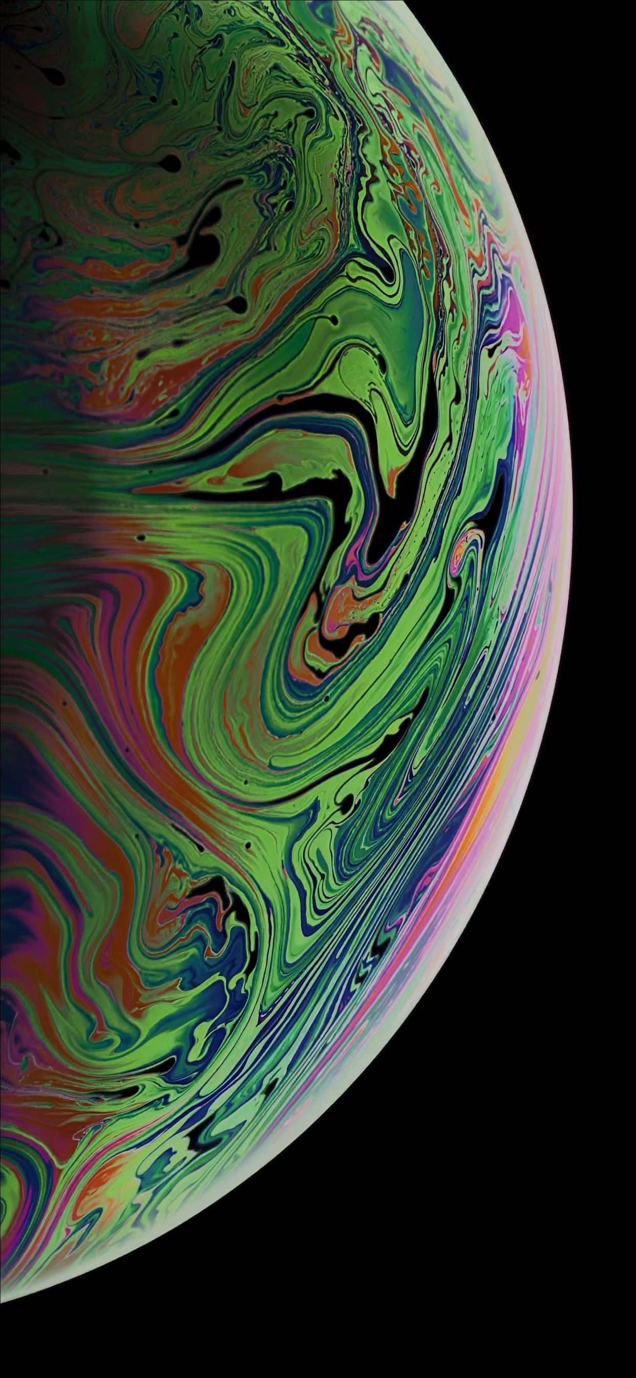 可爱考拉iPhone壁纸 壁纸