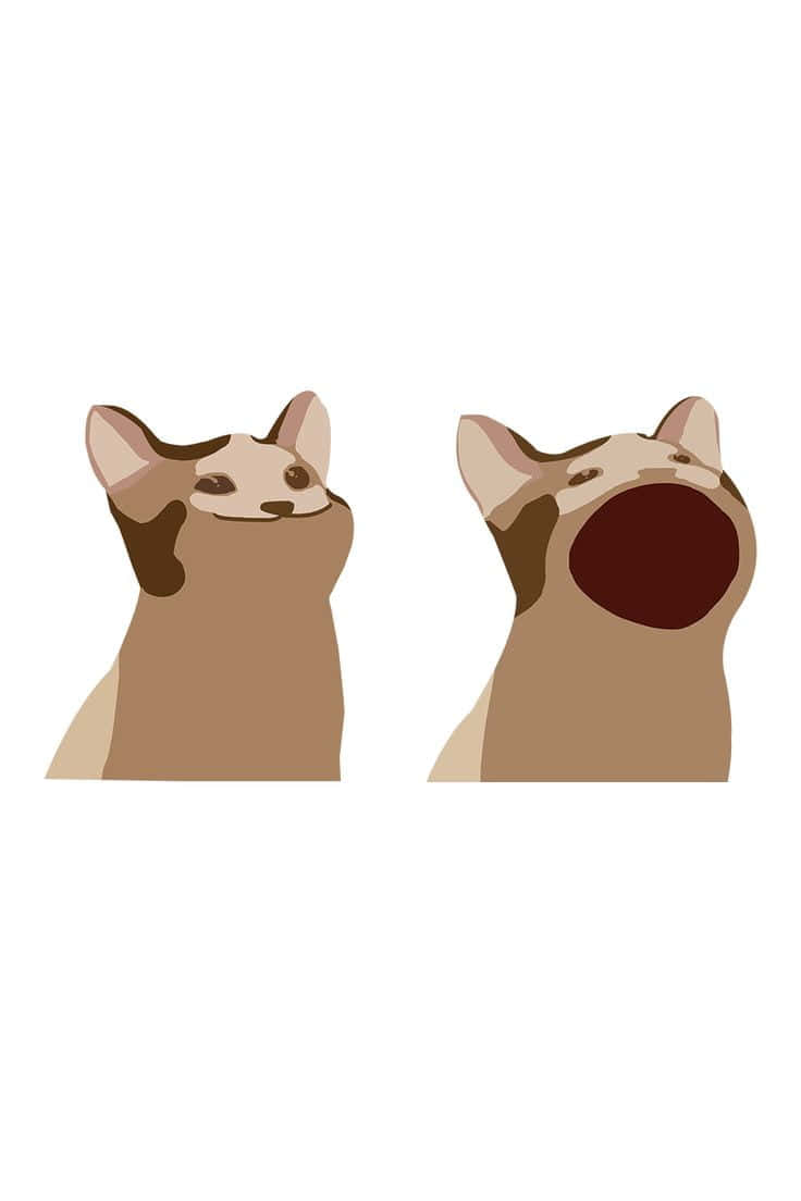 可爱诅咒猫咪图画绘制 壁纸