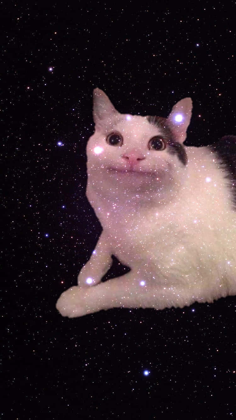 可爱诅咒猫咪微笑图片 壁纸