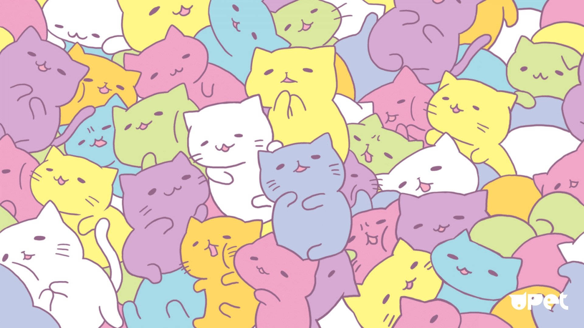可爱高清彩色猫咪 壁纸
