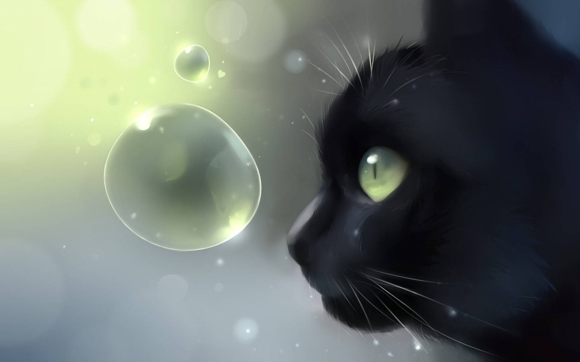 可爱黑猫与泡泡 壁纸