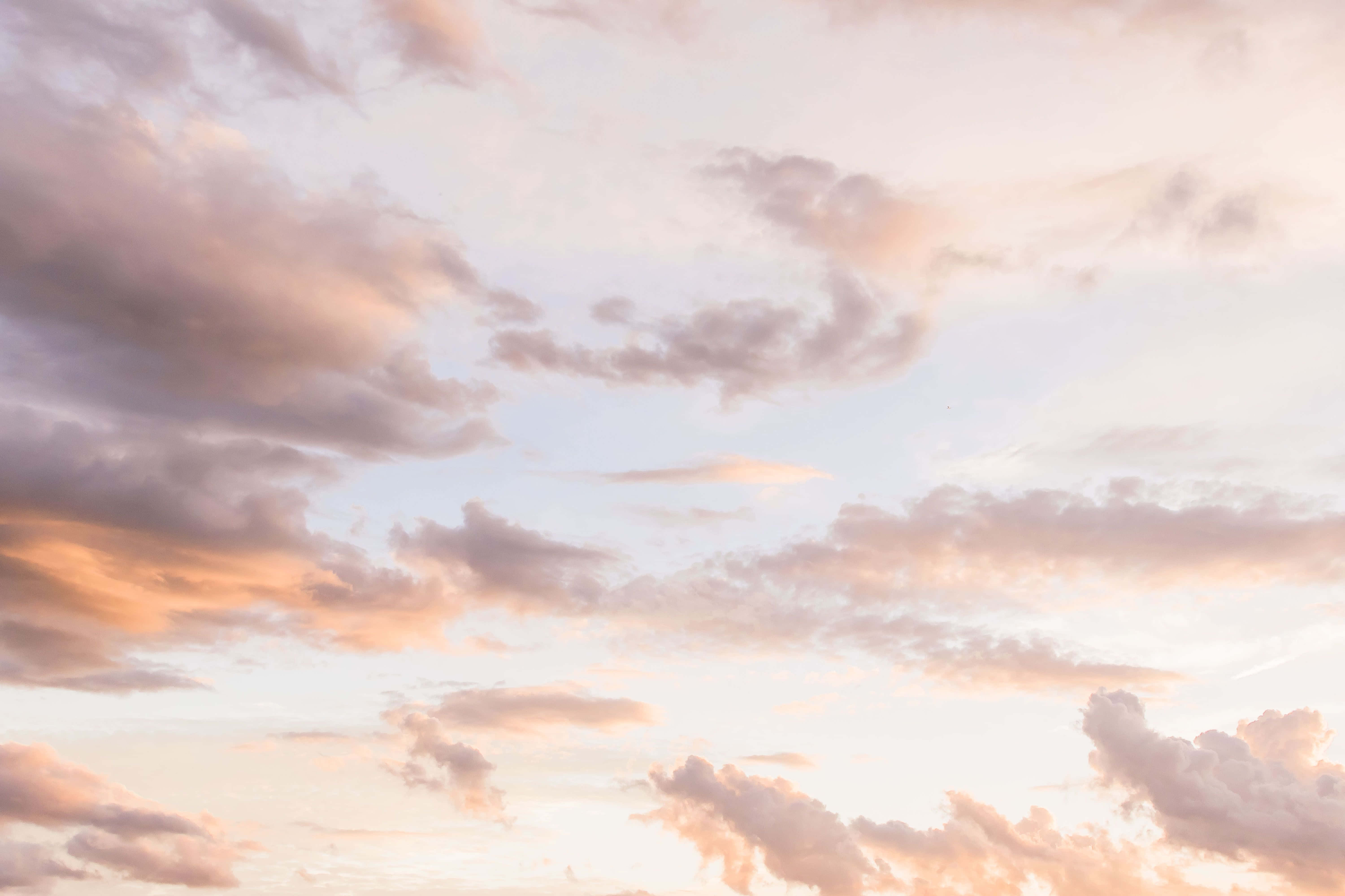 唯美天空 淡雅白色背景 壁纸