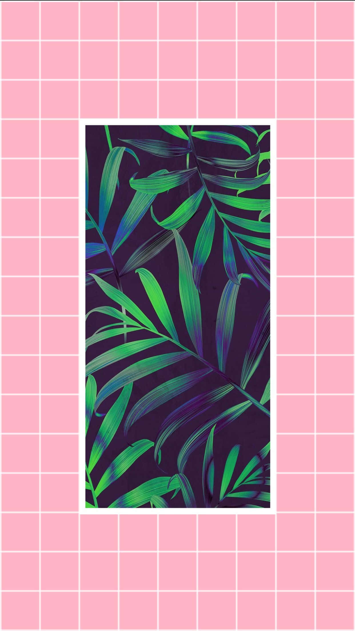 唯美春日自然手机壁纸 壁纸