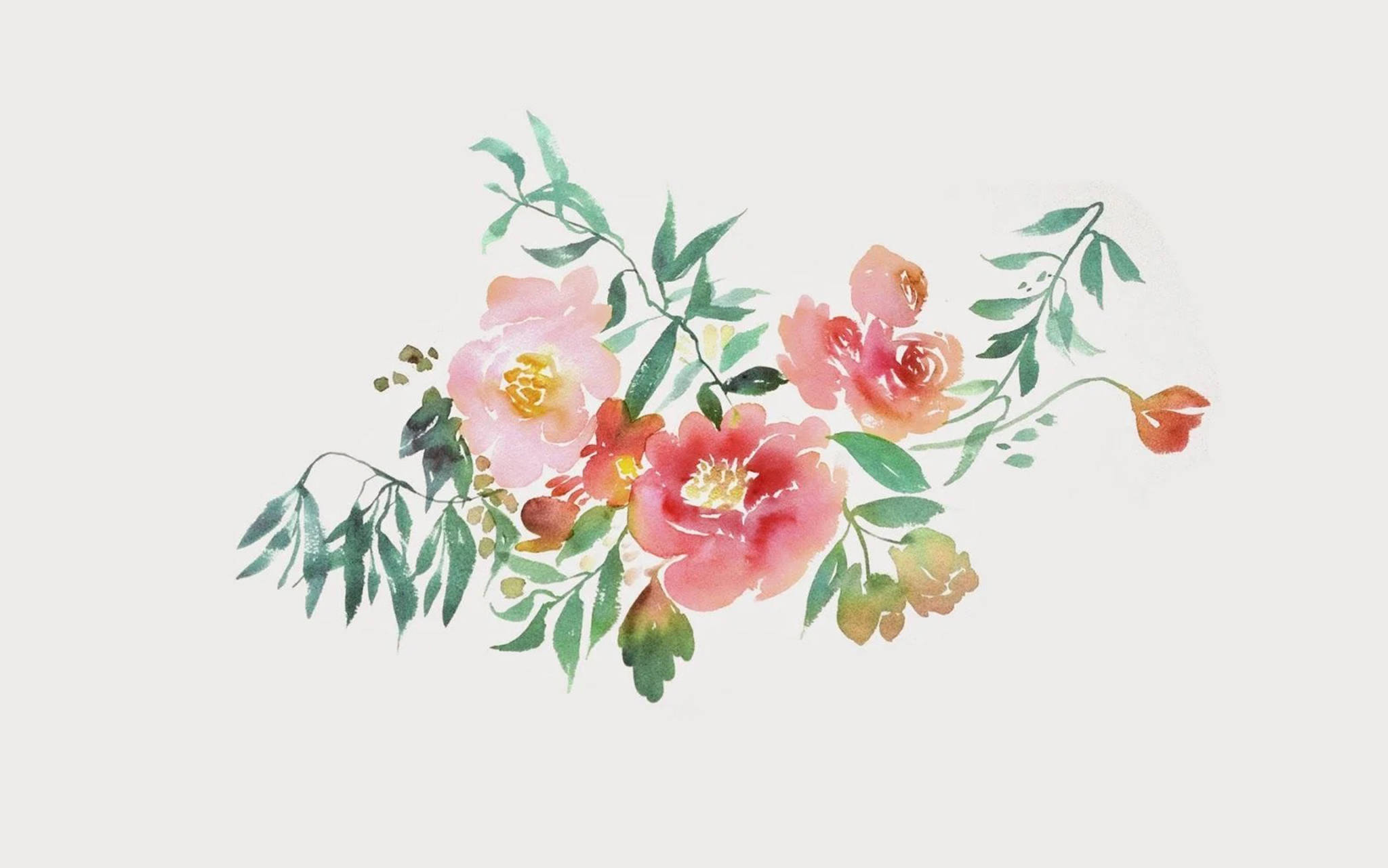 唯美桌面水彩花卉 壁纸