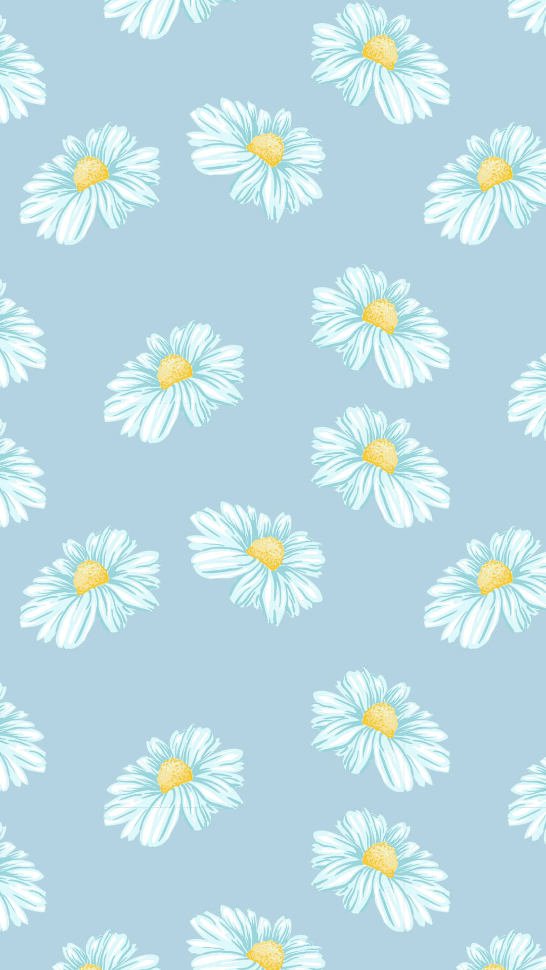唯美雏菊 壁纸