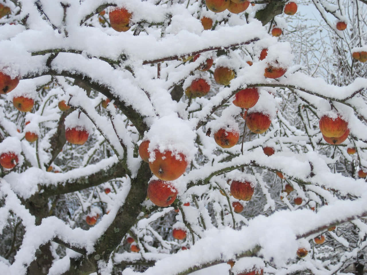 唯美雪山风景 壁纸