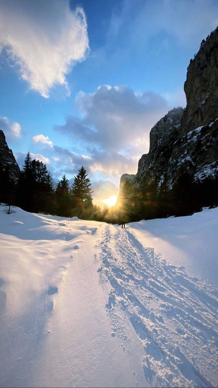 唯美雪路iPhone壁纸 壁纸