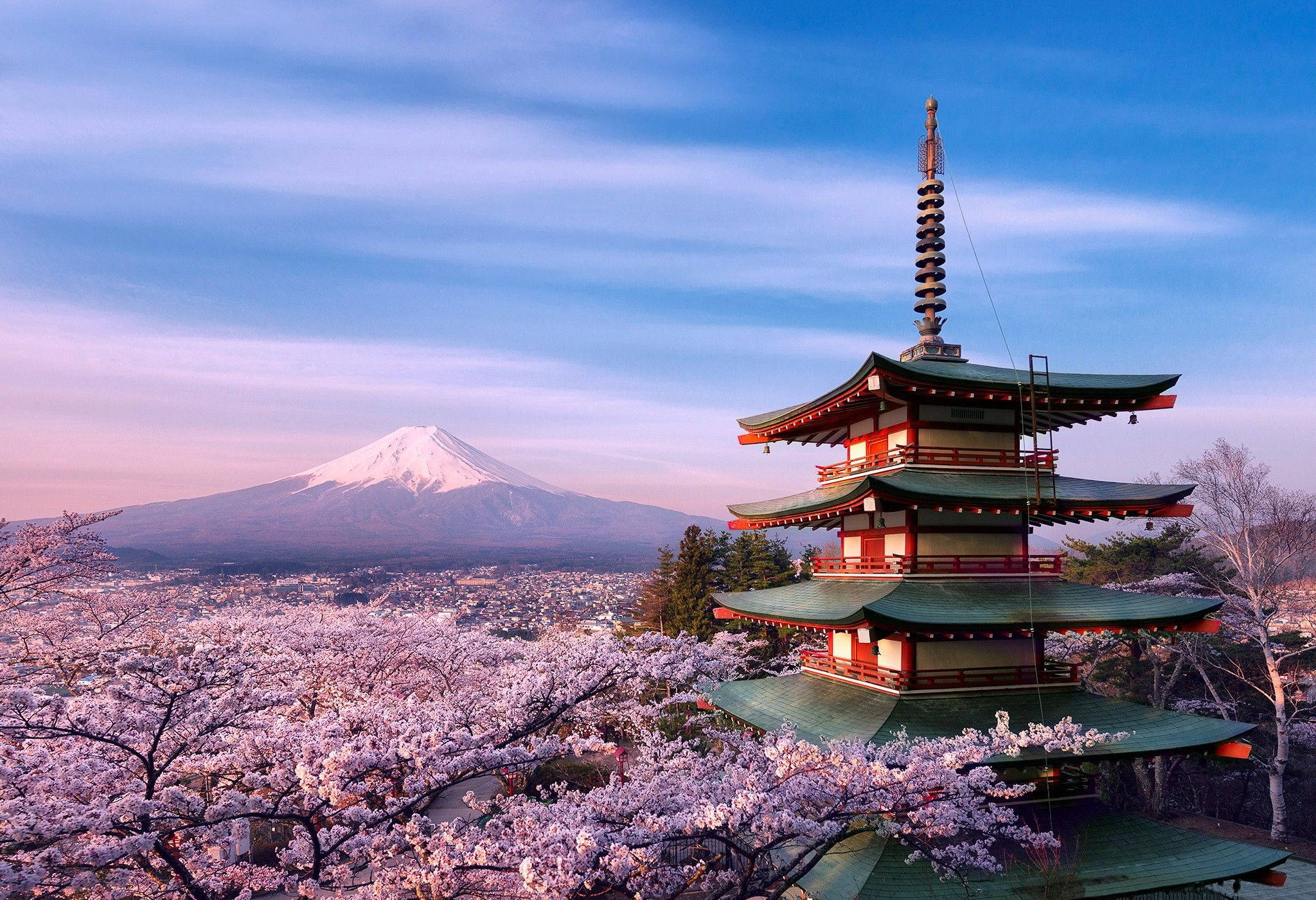 在日本欣赏美丽的樱花风景 壁纸