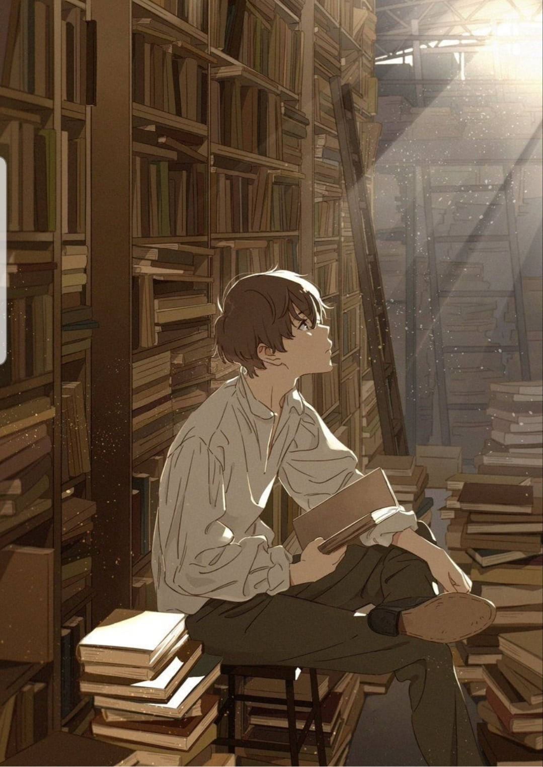 坐在书堆上的动漫少年 壁纸