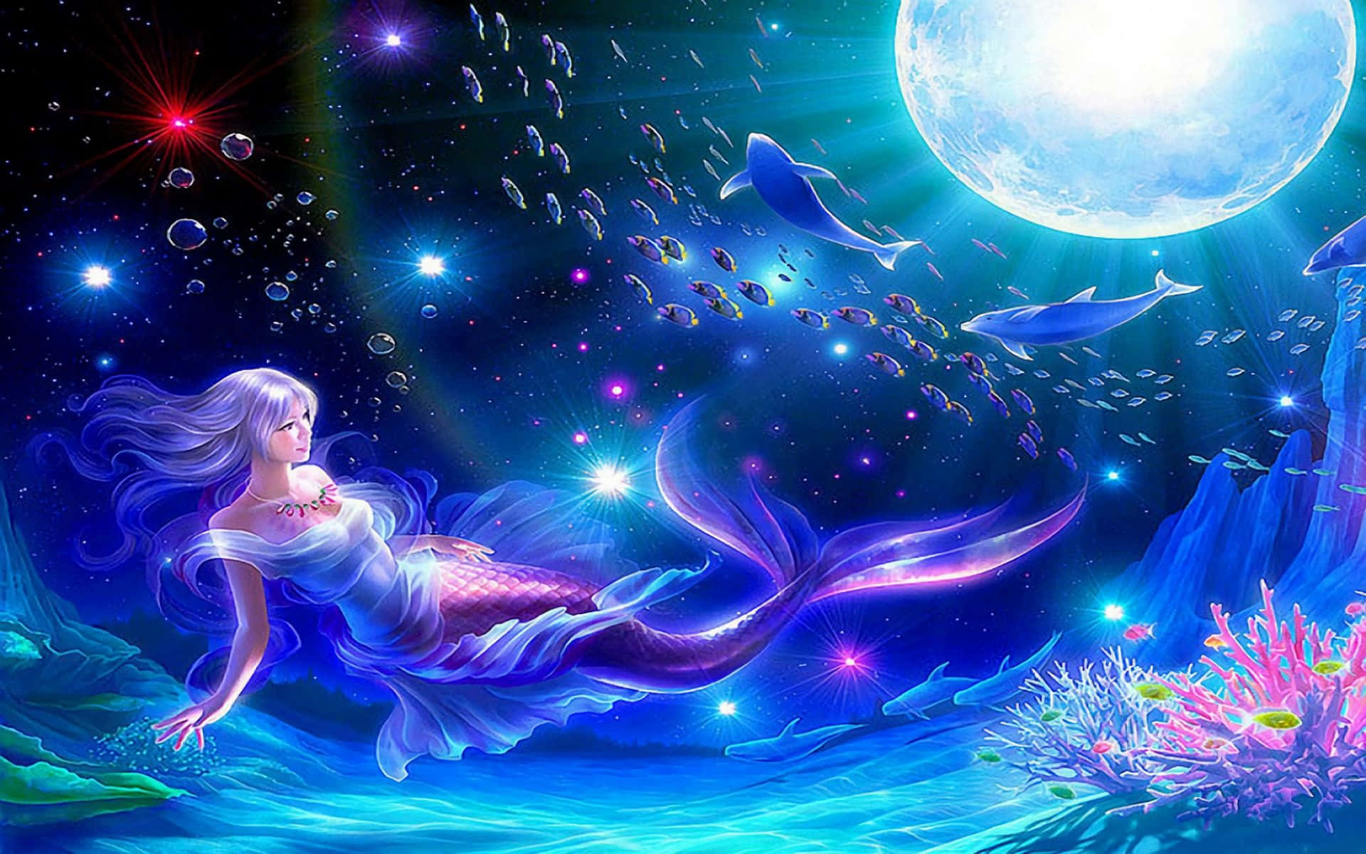 壮丽可爱美人鱼海洋生物 壁纸
