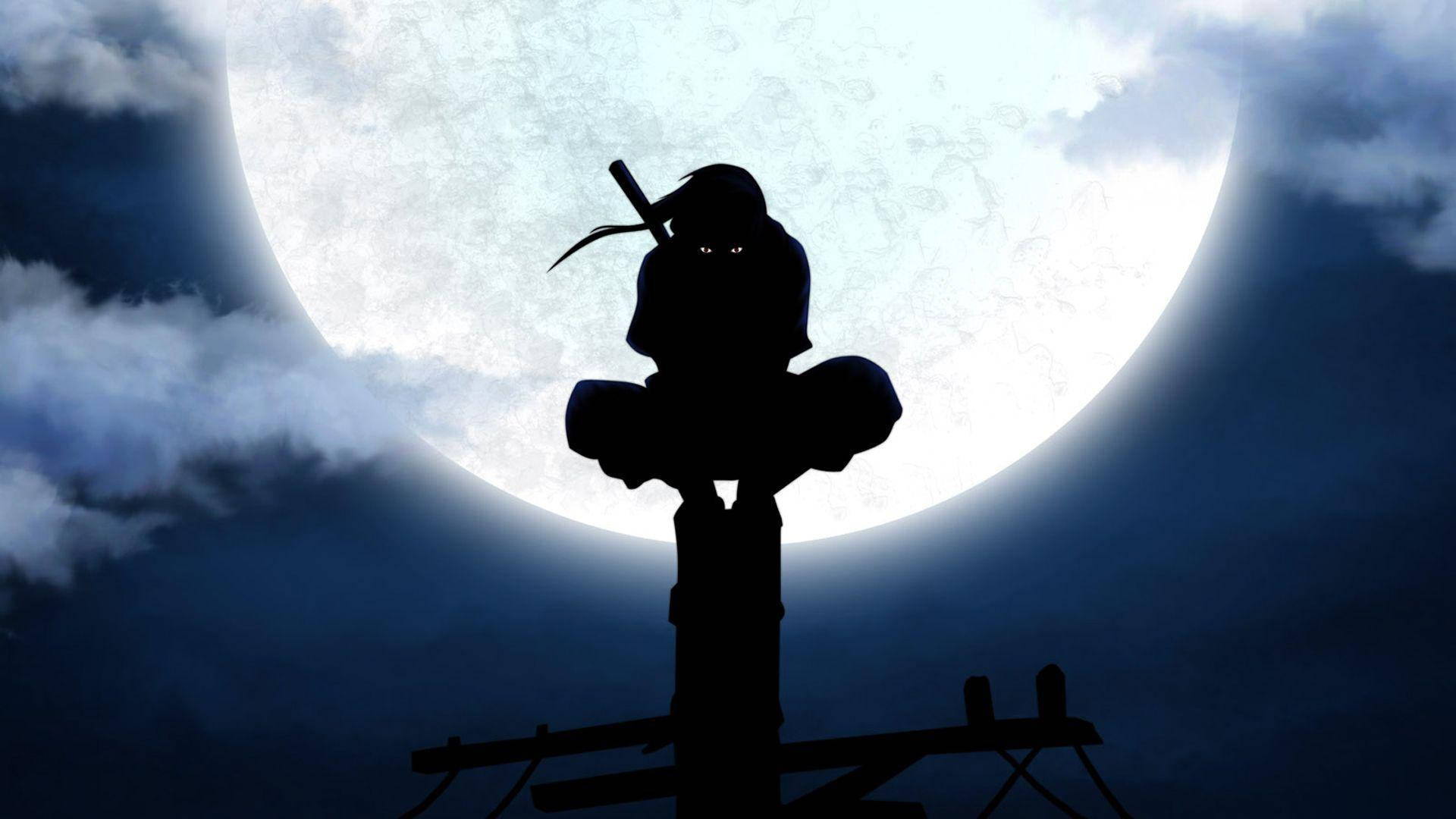 1920x1080 鼬高清壁纸