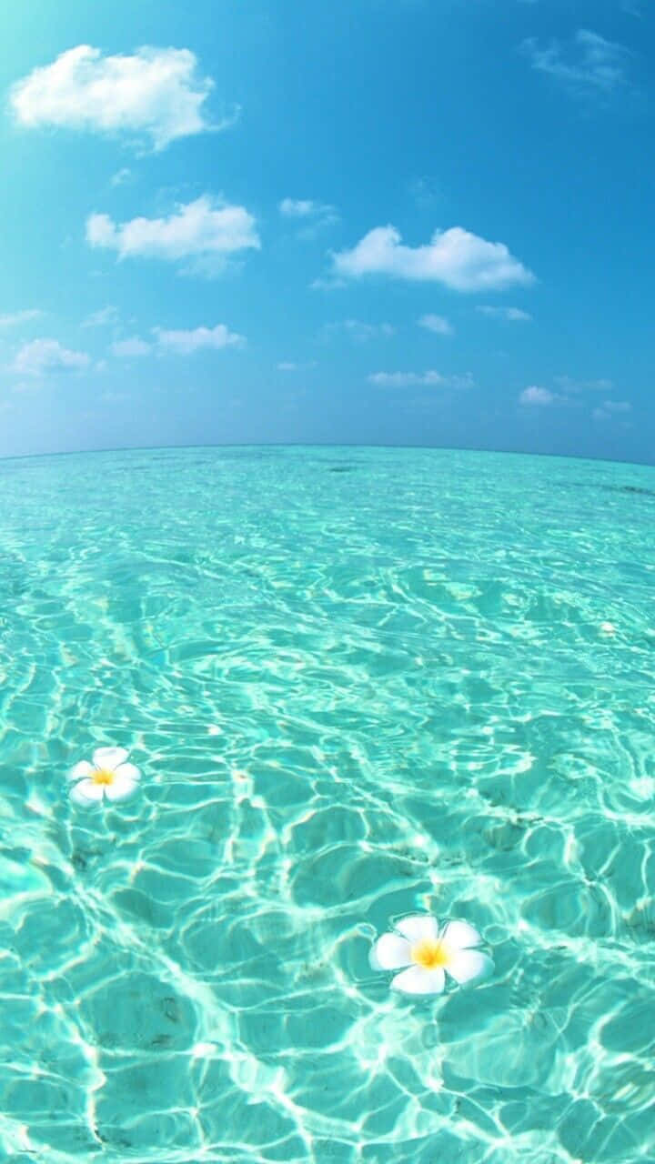夏日可爱海滩
