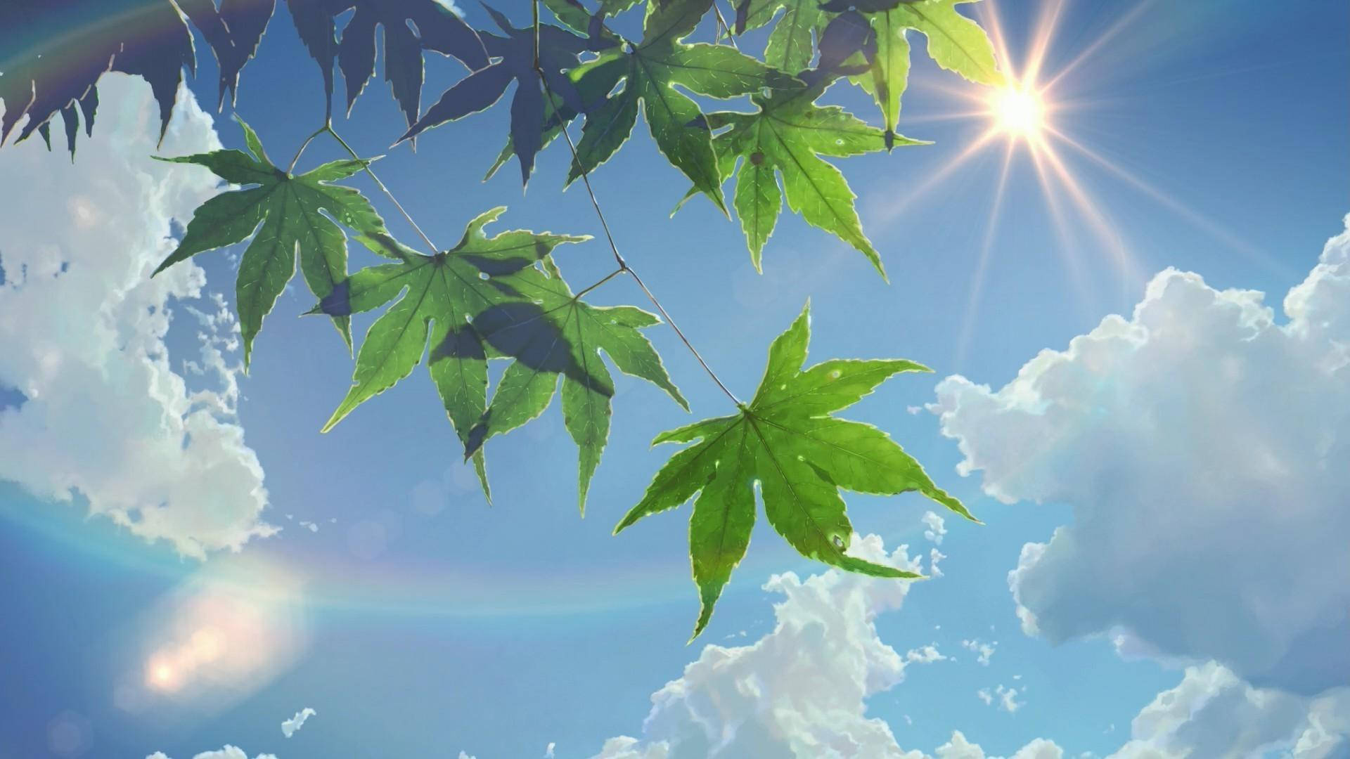 夏日美学 阳光与天空 壁纸