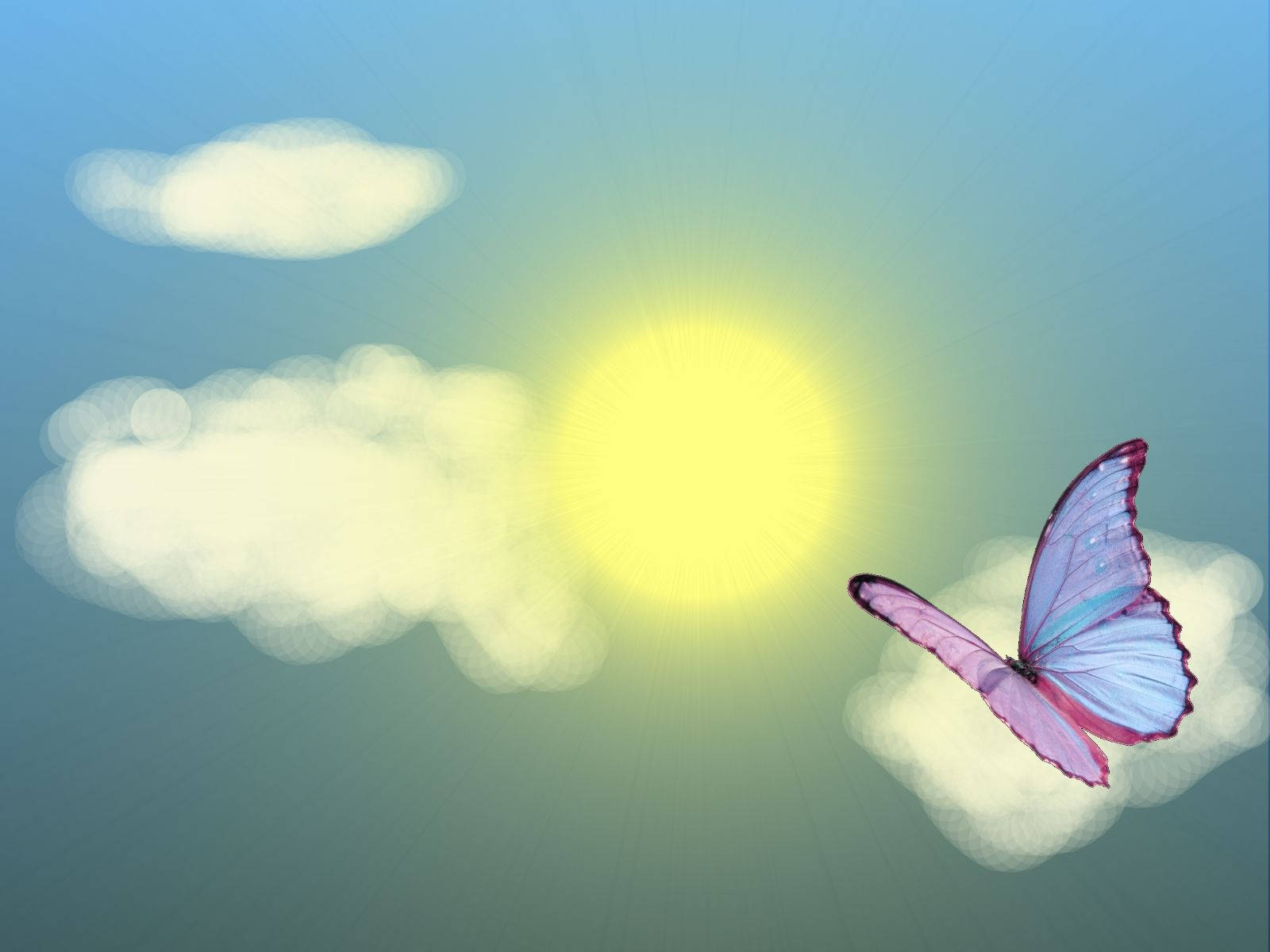 夏日美学漂浮蝴蝶 壁纸
