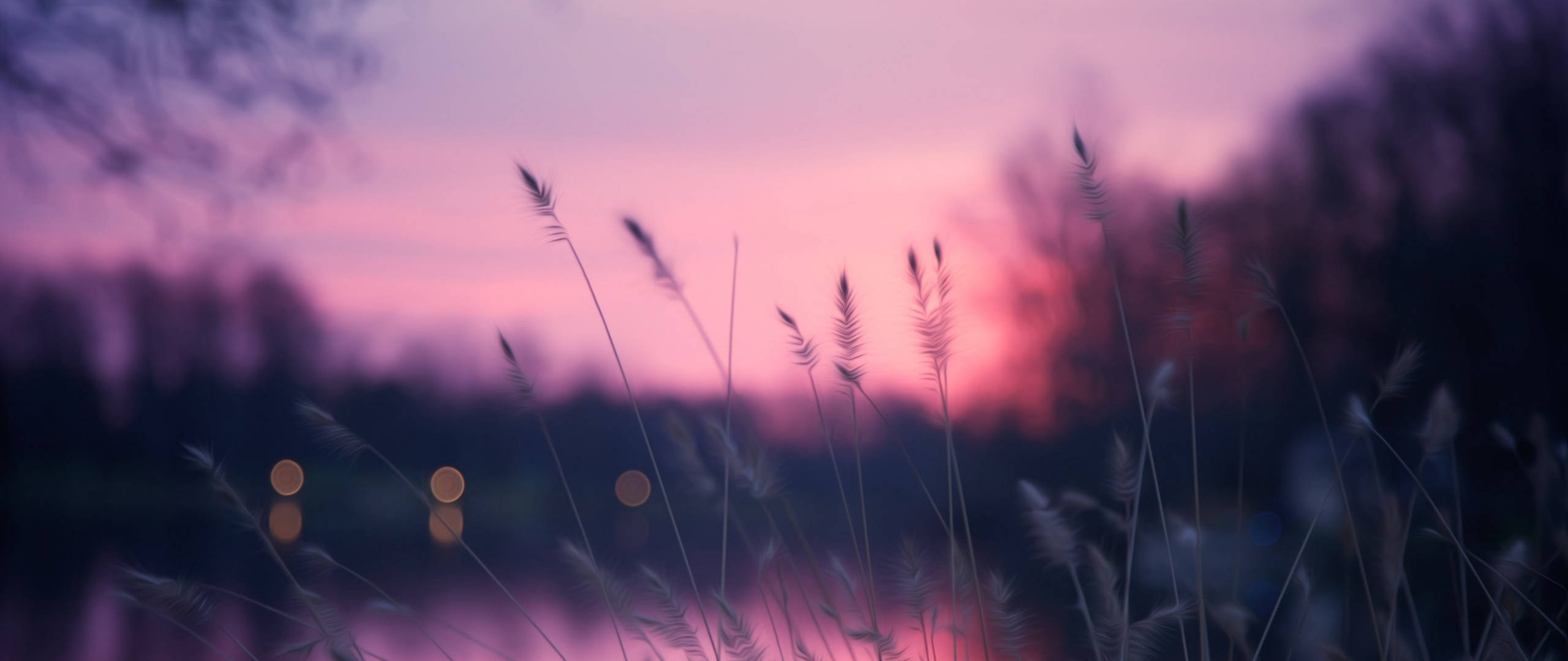 夕阳天空下的草地 Pinterest 笔记本电脑 壁纸