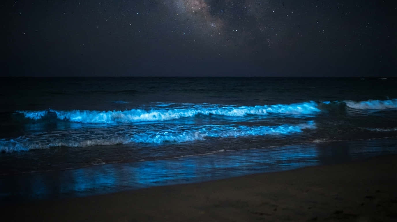 4K夜晚海洋，蓝色夜浪，夜晚海洋壁纸，银河沙滩，荧光沙滩，生物发光波浪，自然4K，自然，海滩，海洋背景，大海