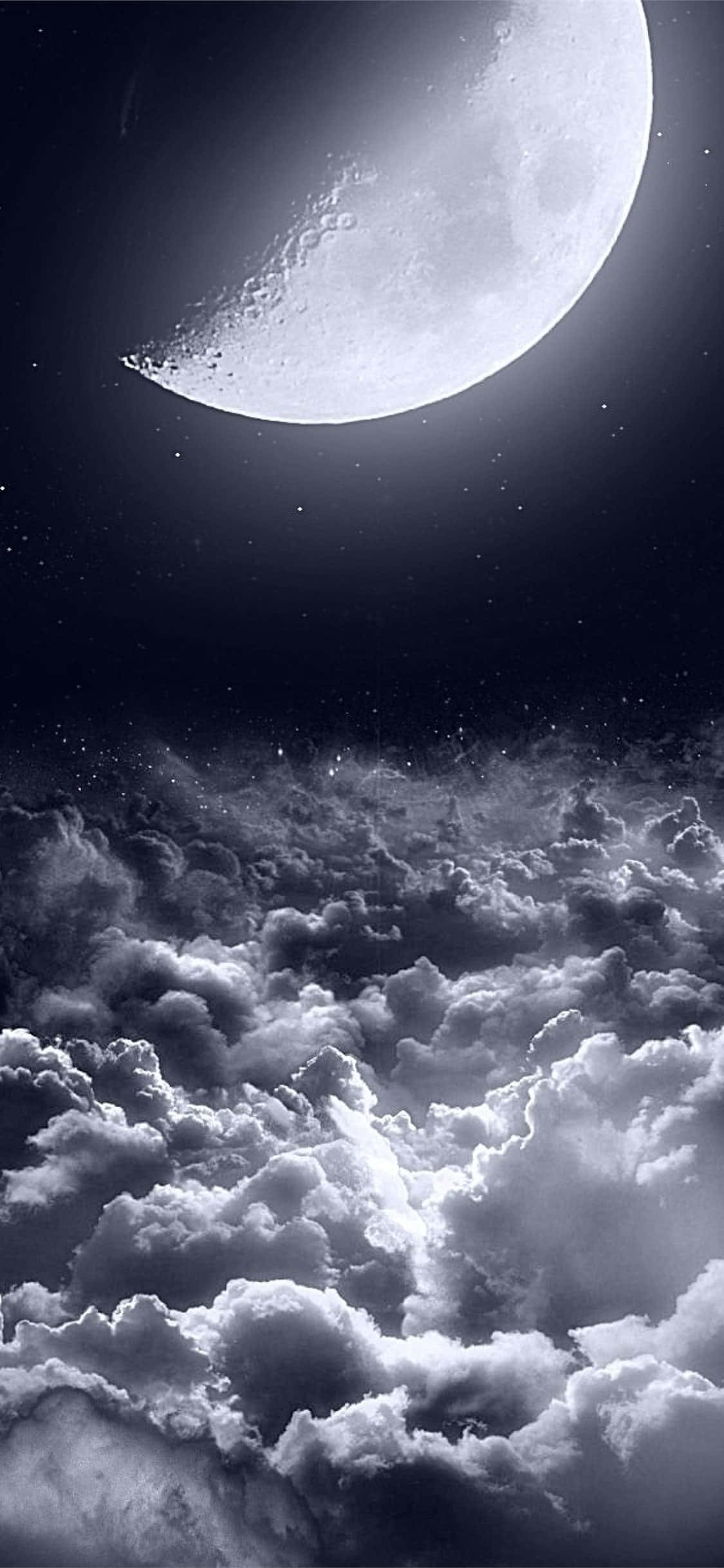夜空中壮丽的满月 壁纸
