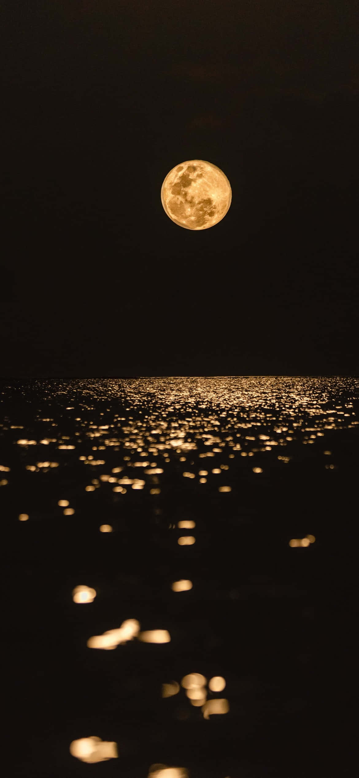 夜空中的庄严满月 壁纸