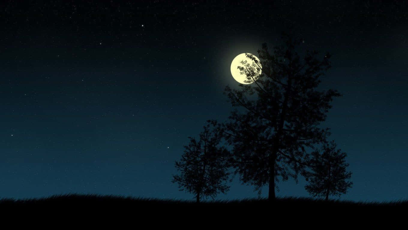 夜空中的树木与月亮 壁纸