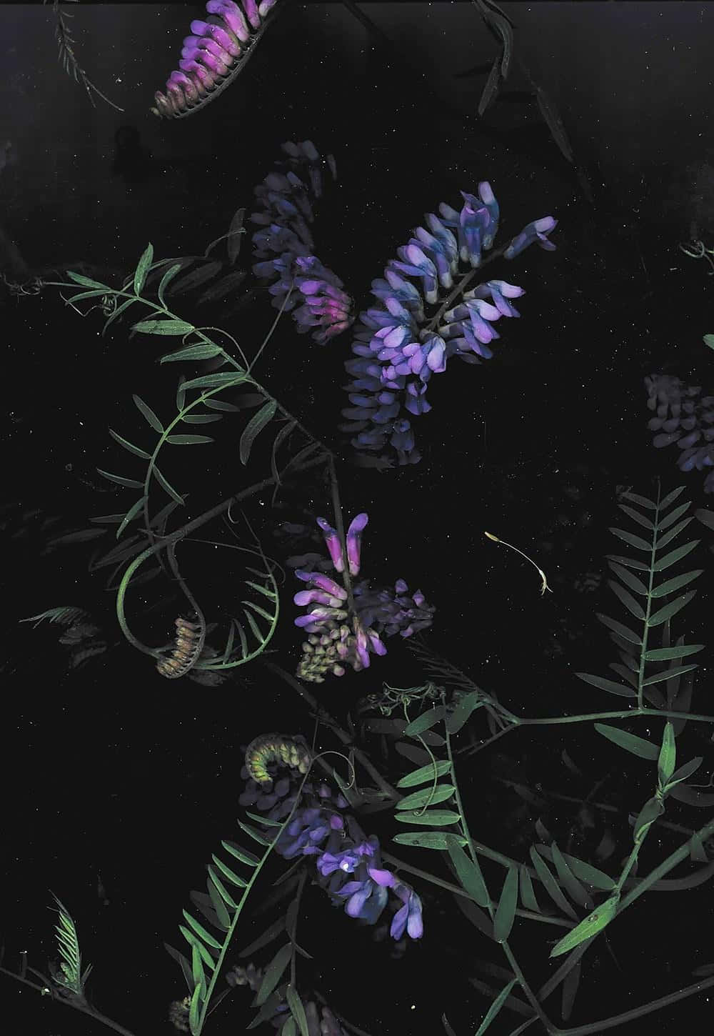 夜色中的暗黑手机 壁纸