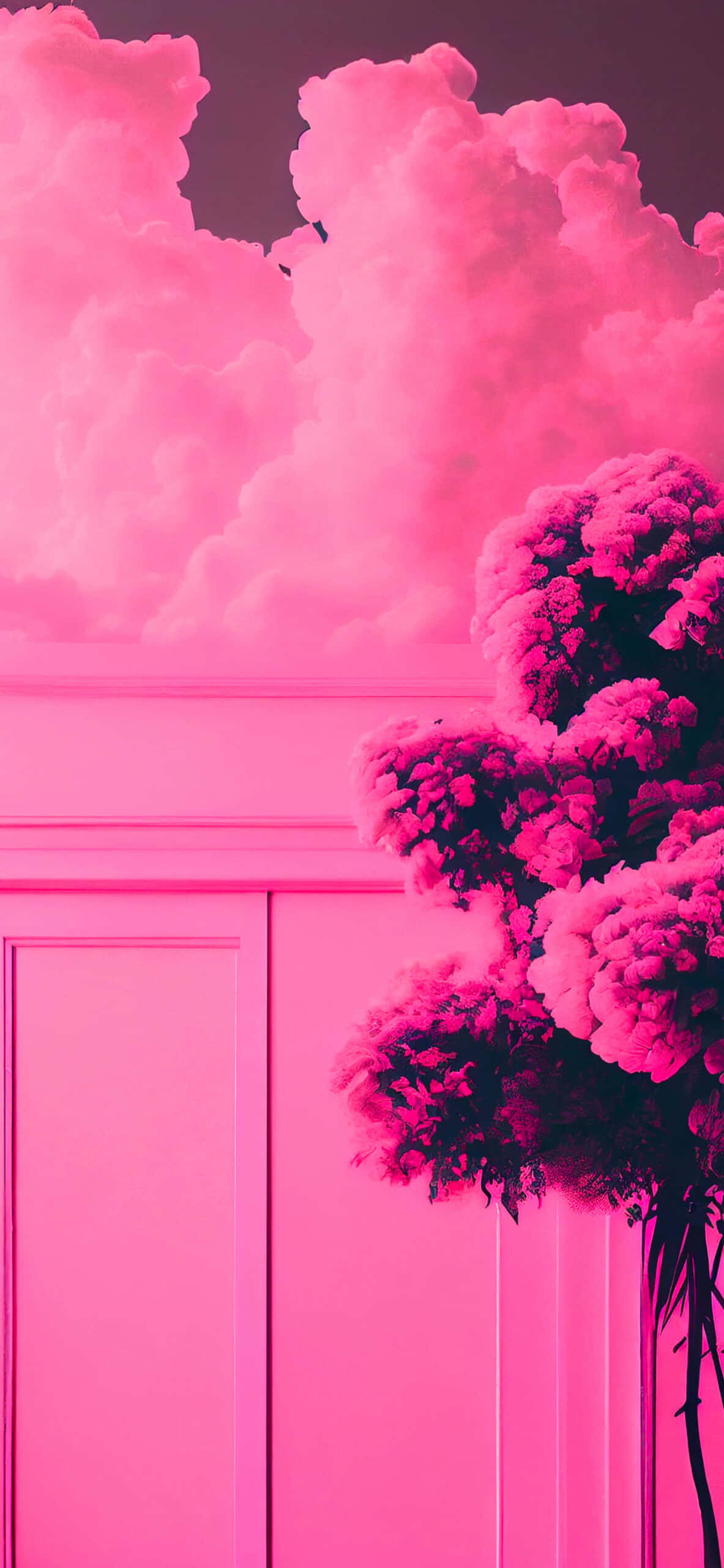 大胆亮粉色 壁纸