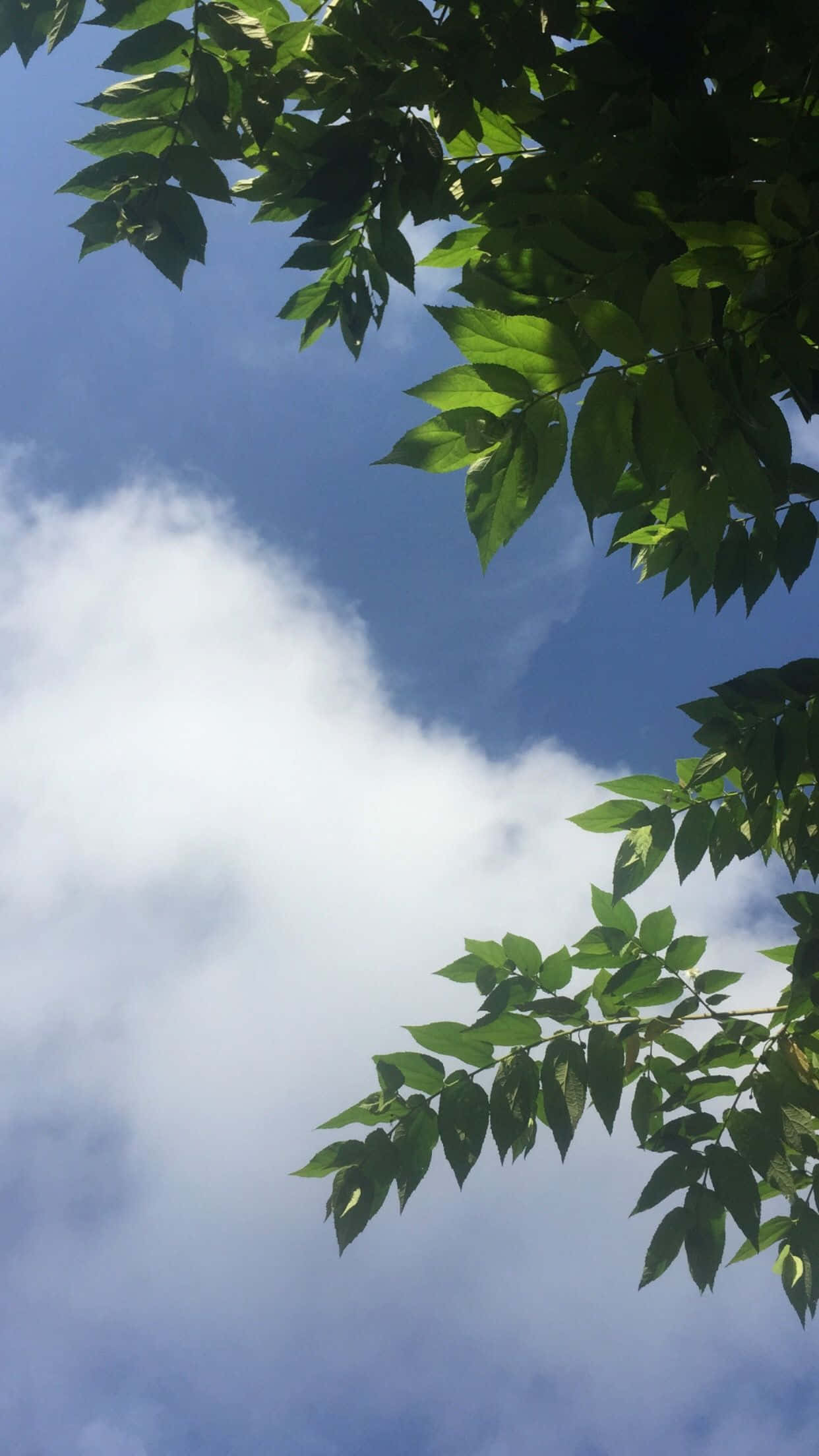 天空的美学之美 壁纸