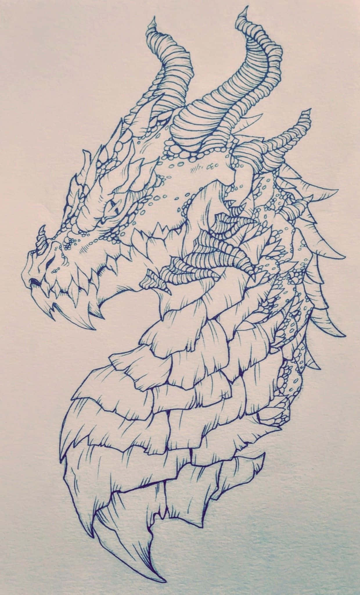 威严的龙之侧影 壁纸