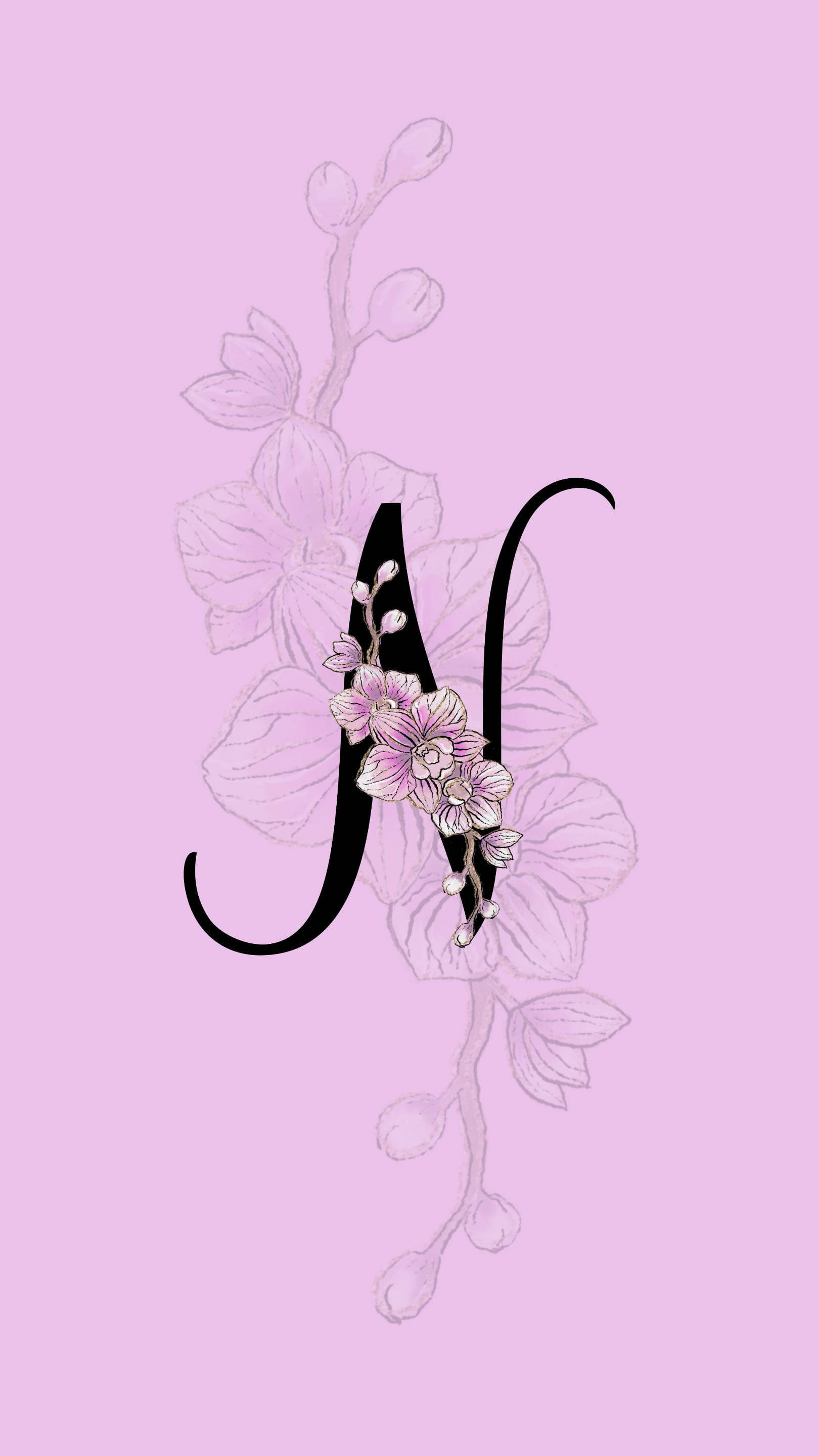 字母N兰花 壁纸