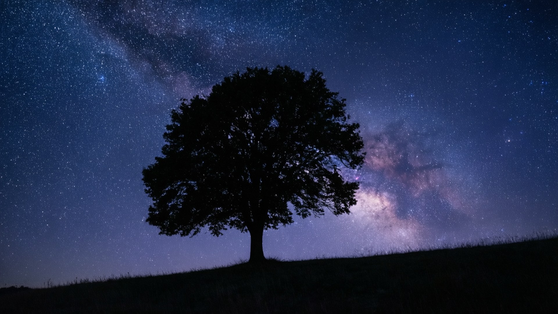 孤树星空夜 壁纸