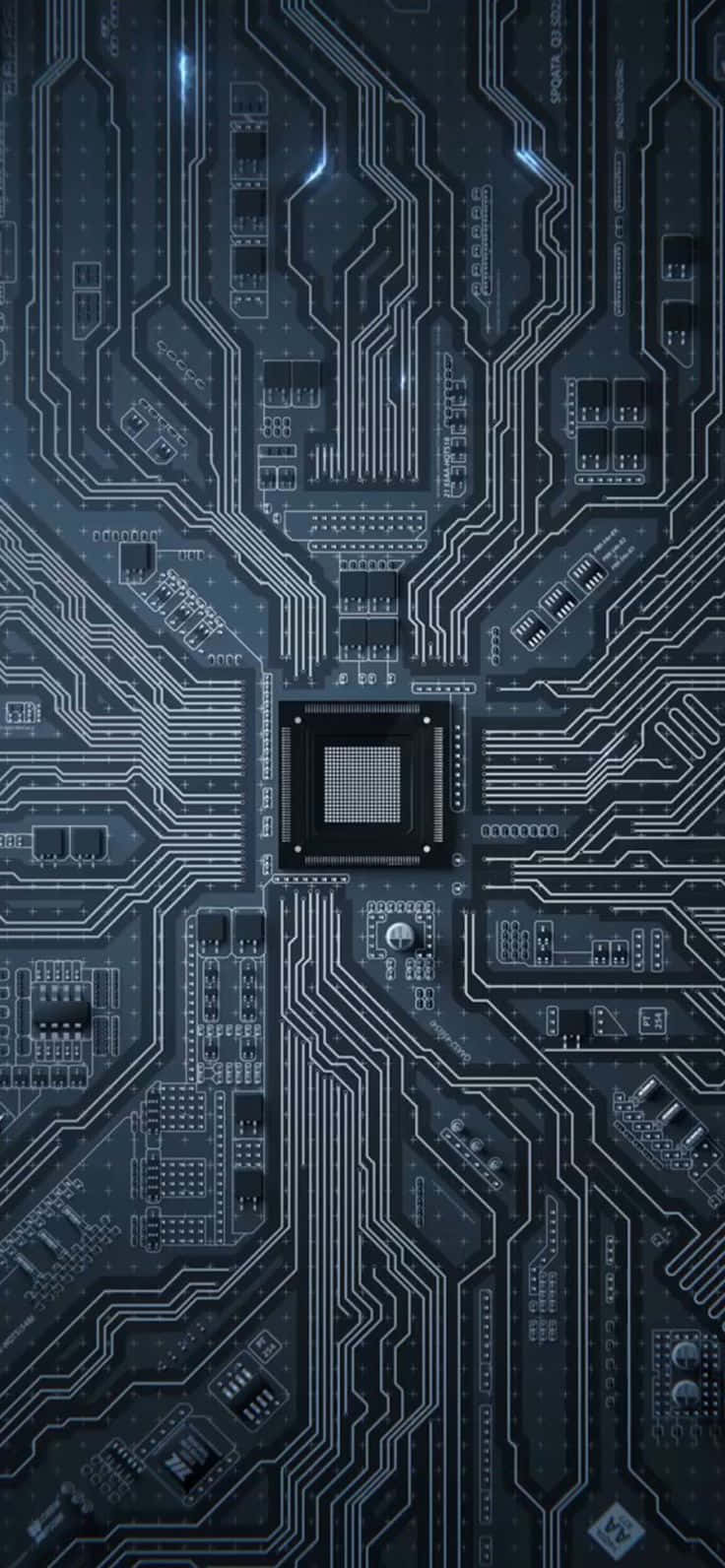 宁静冬日景观上空的壮丽极光 壁纸