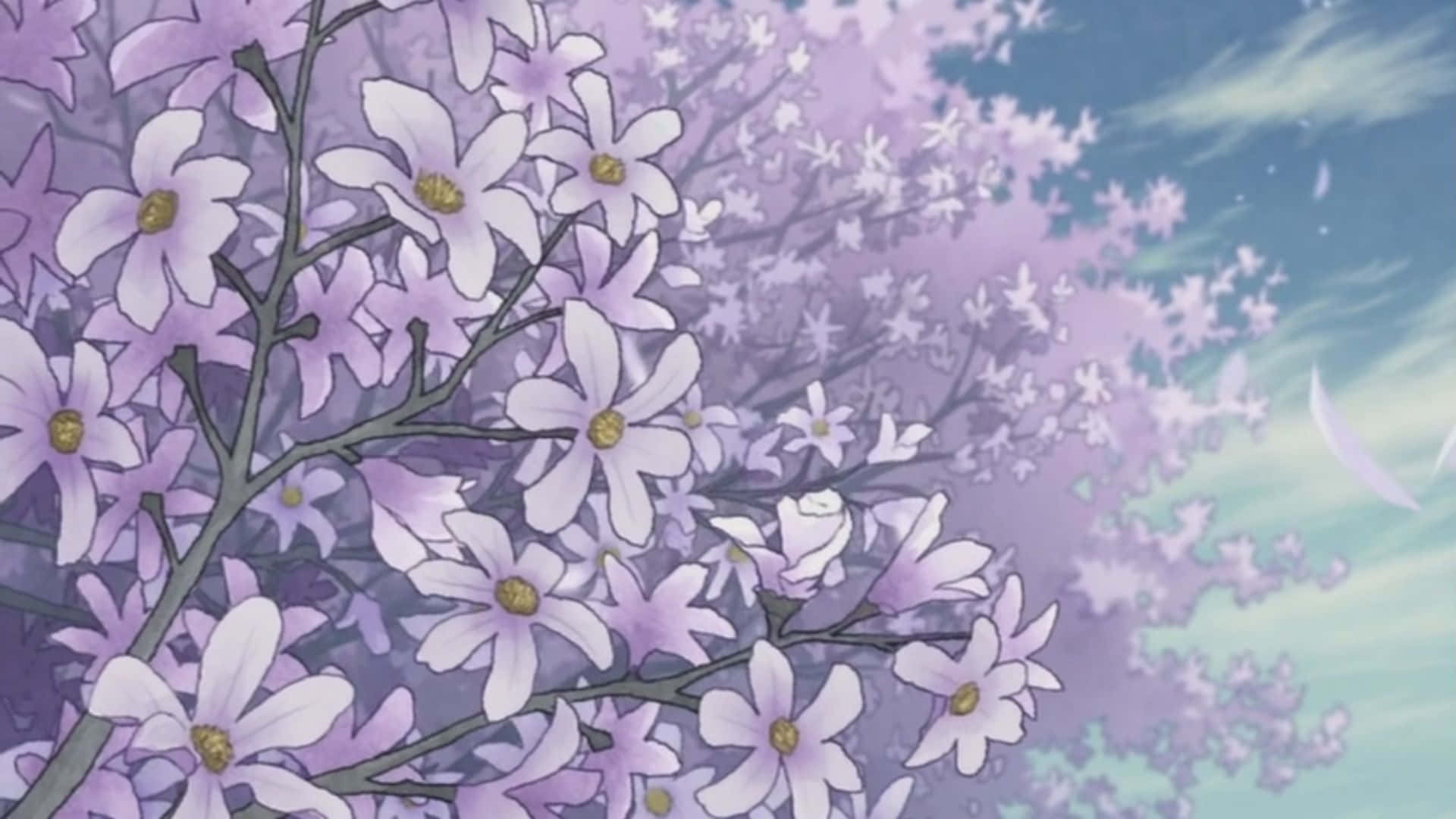 宁静柔和美学自然背景 壁纸