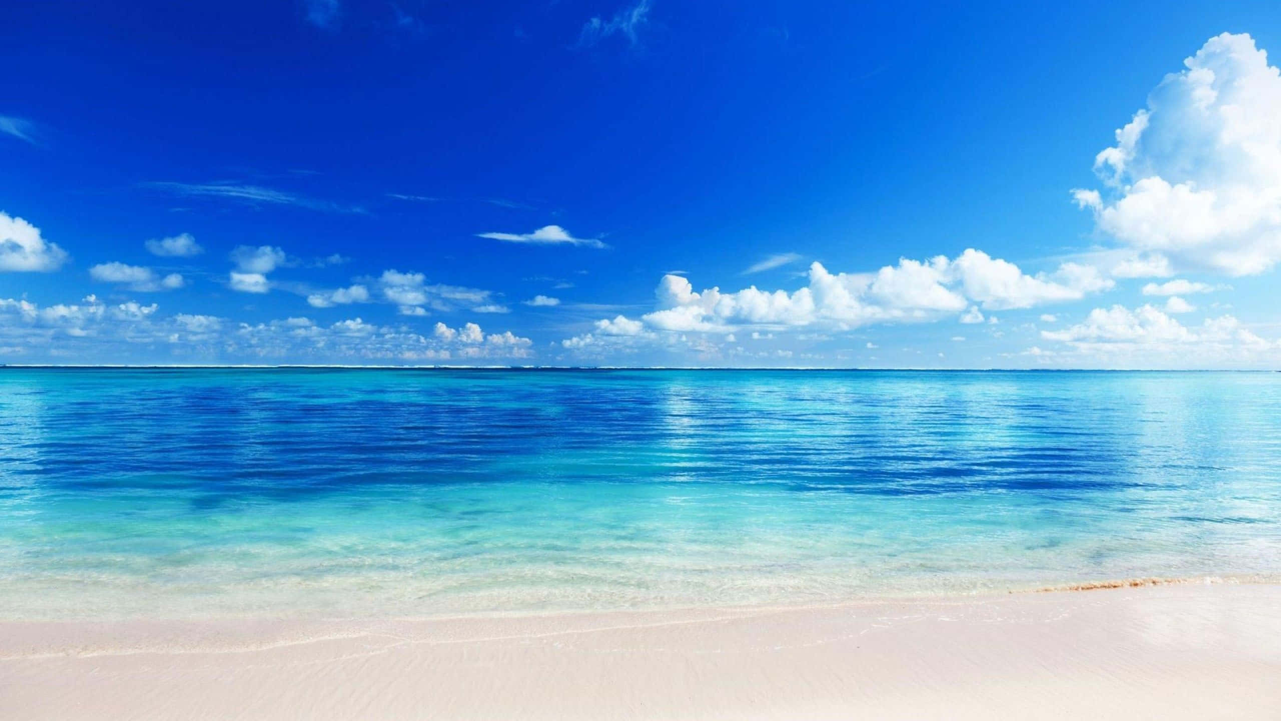 宁静海景与清澈晴空 壁纸