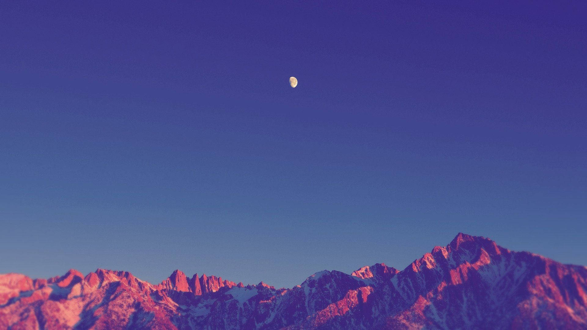宁静紫韵