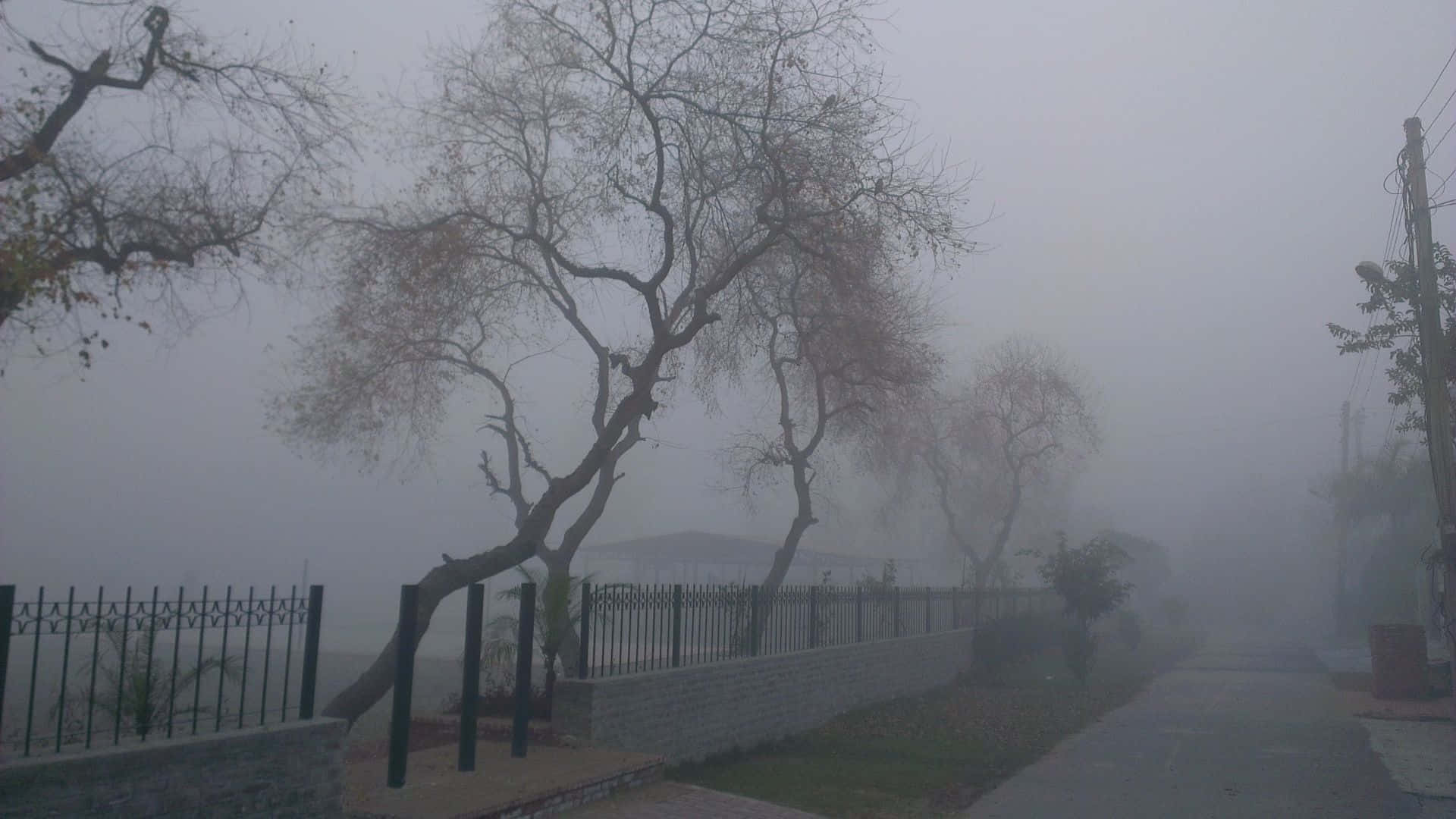 宁静美学灰色背景 壁纸