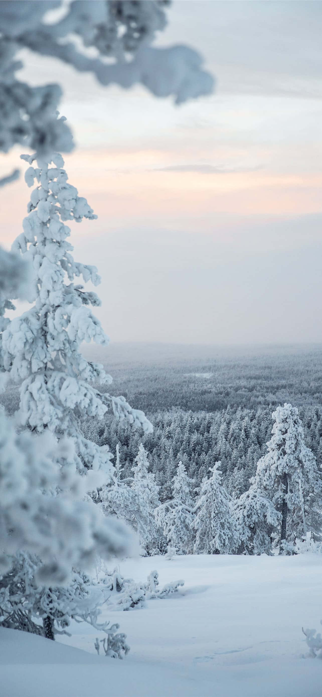 宁静雪景全景 壁纸