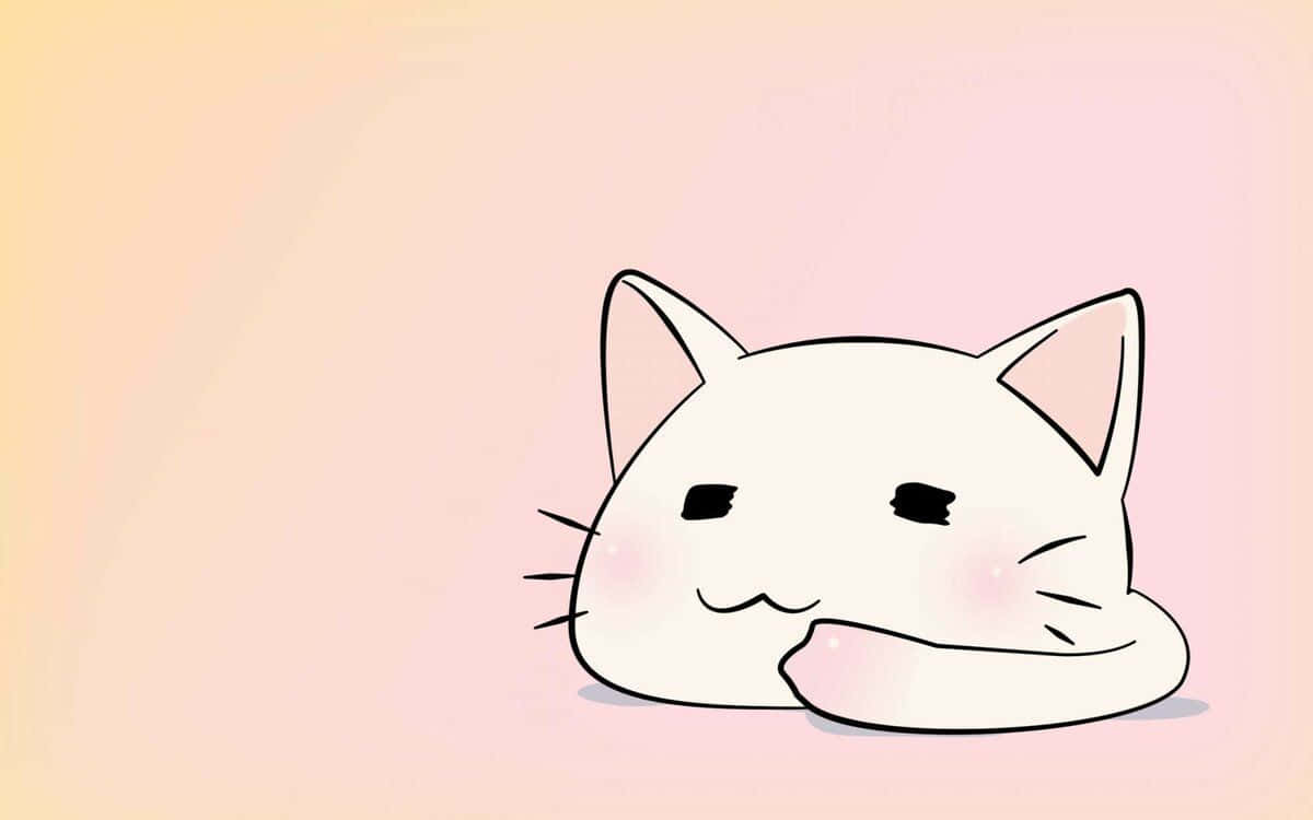 宠物店里的可爱动漫猫咪 壁纸
