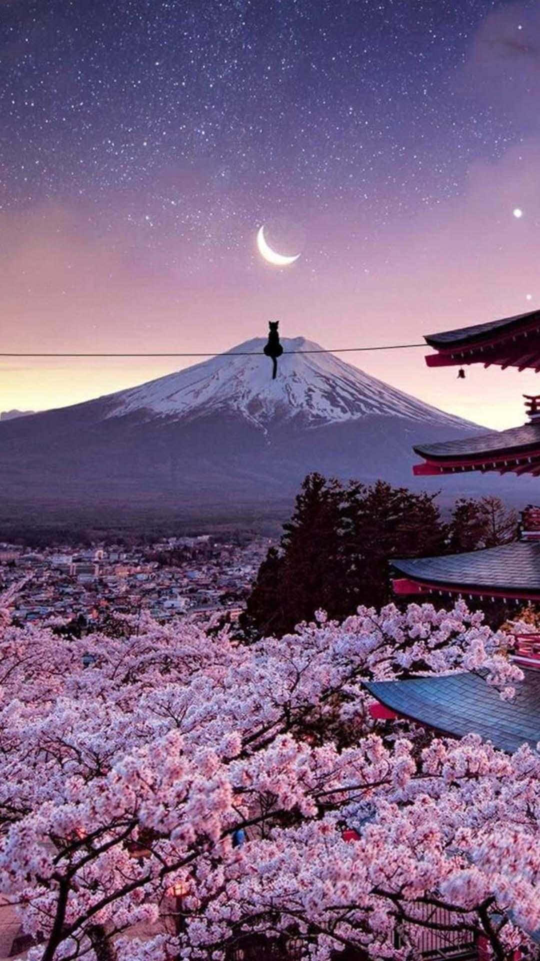 富士山与樱花日本iPhone壁纸 壁纸