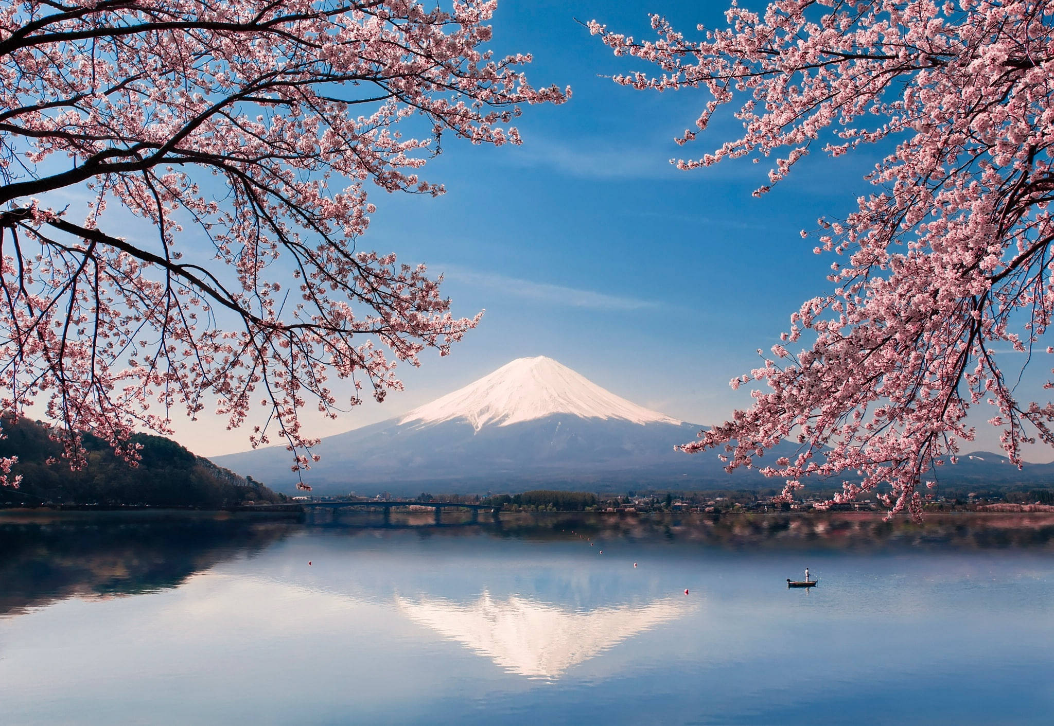 富士山樱花日本4K 壁纸