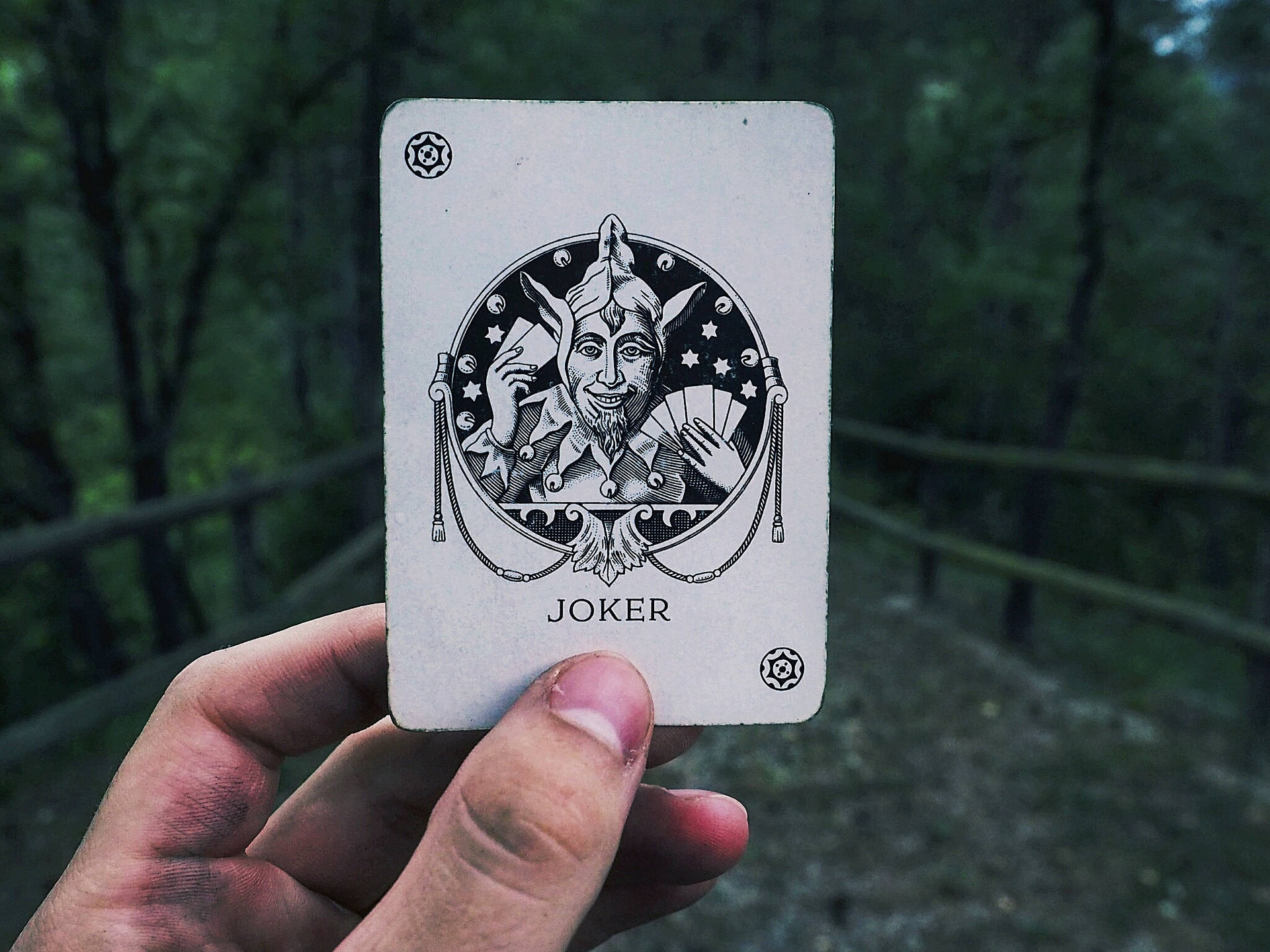 手拿小丑牌，背景是模糊的乡间道路。