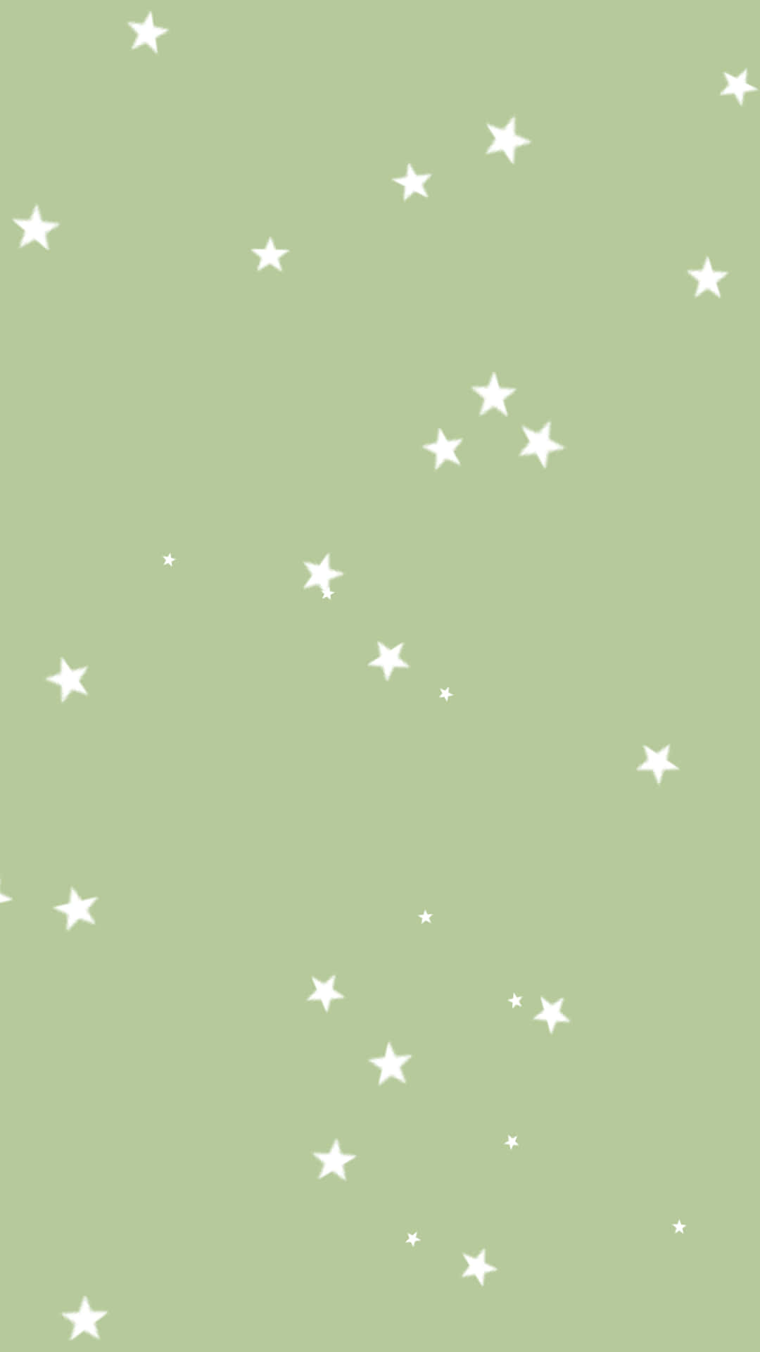小白色星星鼠尾草美学 壁纸