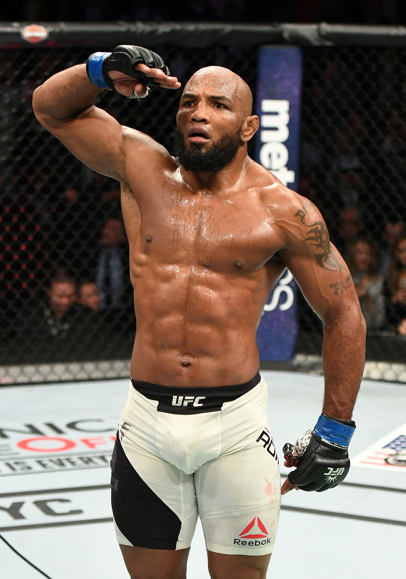 尤尔·罗梅罗在UFC 205的致敬姿势 壁纸