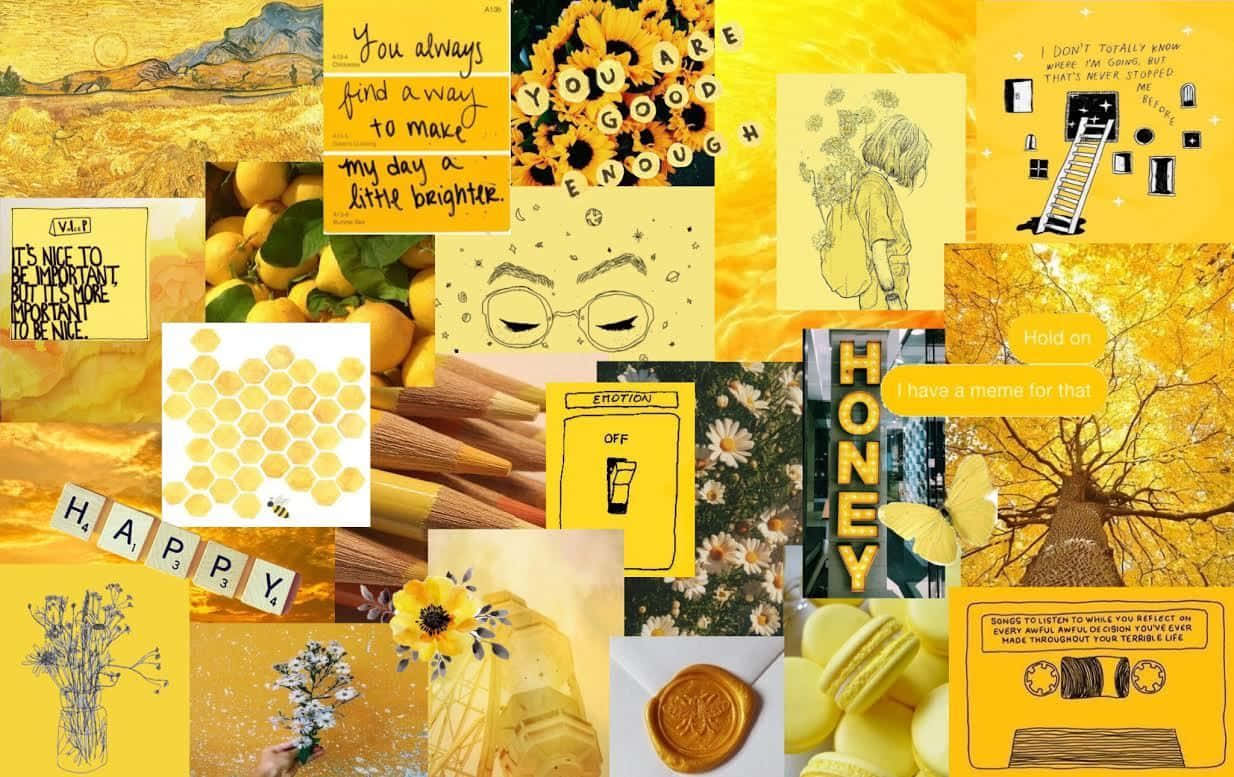 广袤田野上的绚烂日落天空 壁纸