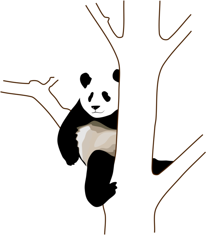 悠闲熊猫抱树 壁纸