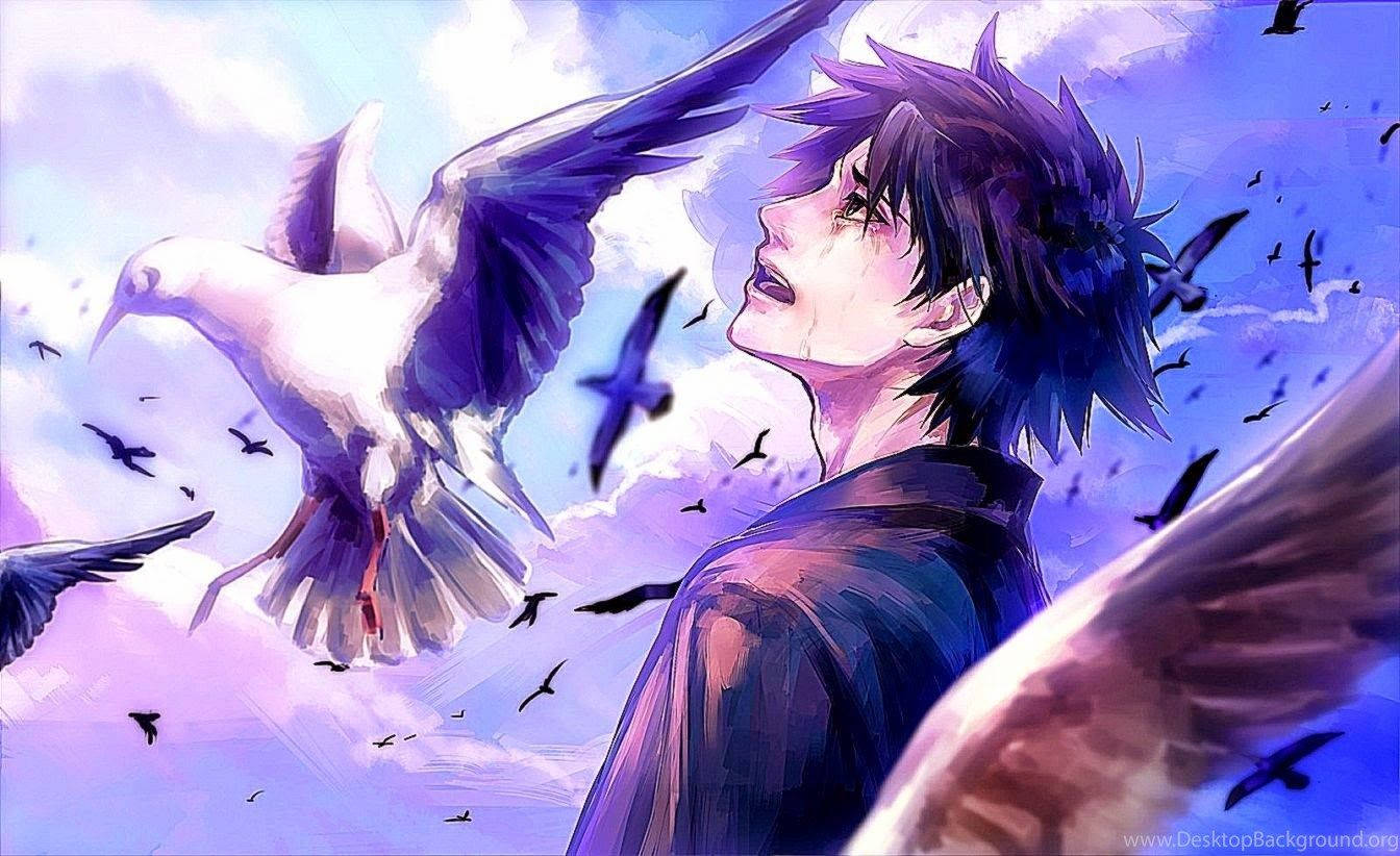 悲伤动漫男孩与飞鸟壁纸