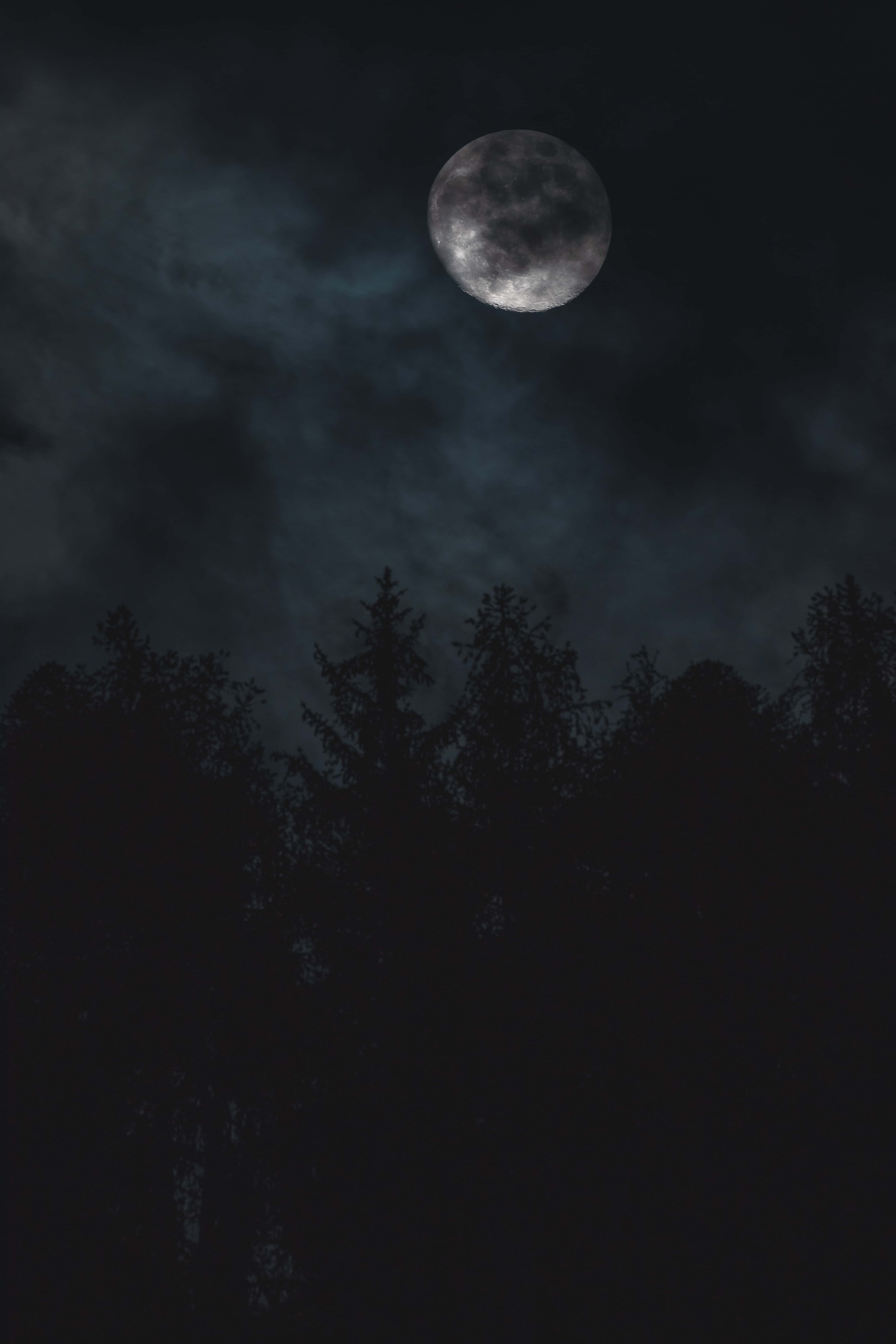 惊艳午夜星空 壁纸