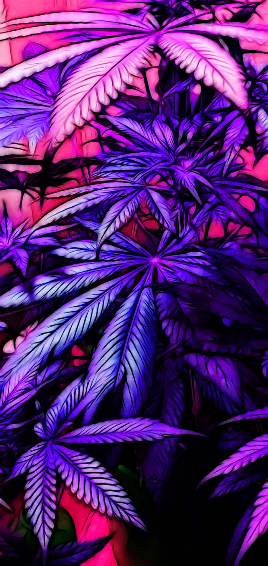 惊艳宁静的紫色美学 壁纸